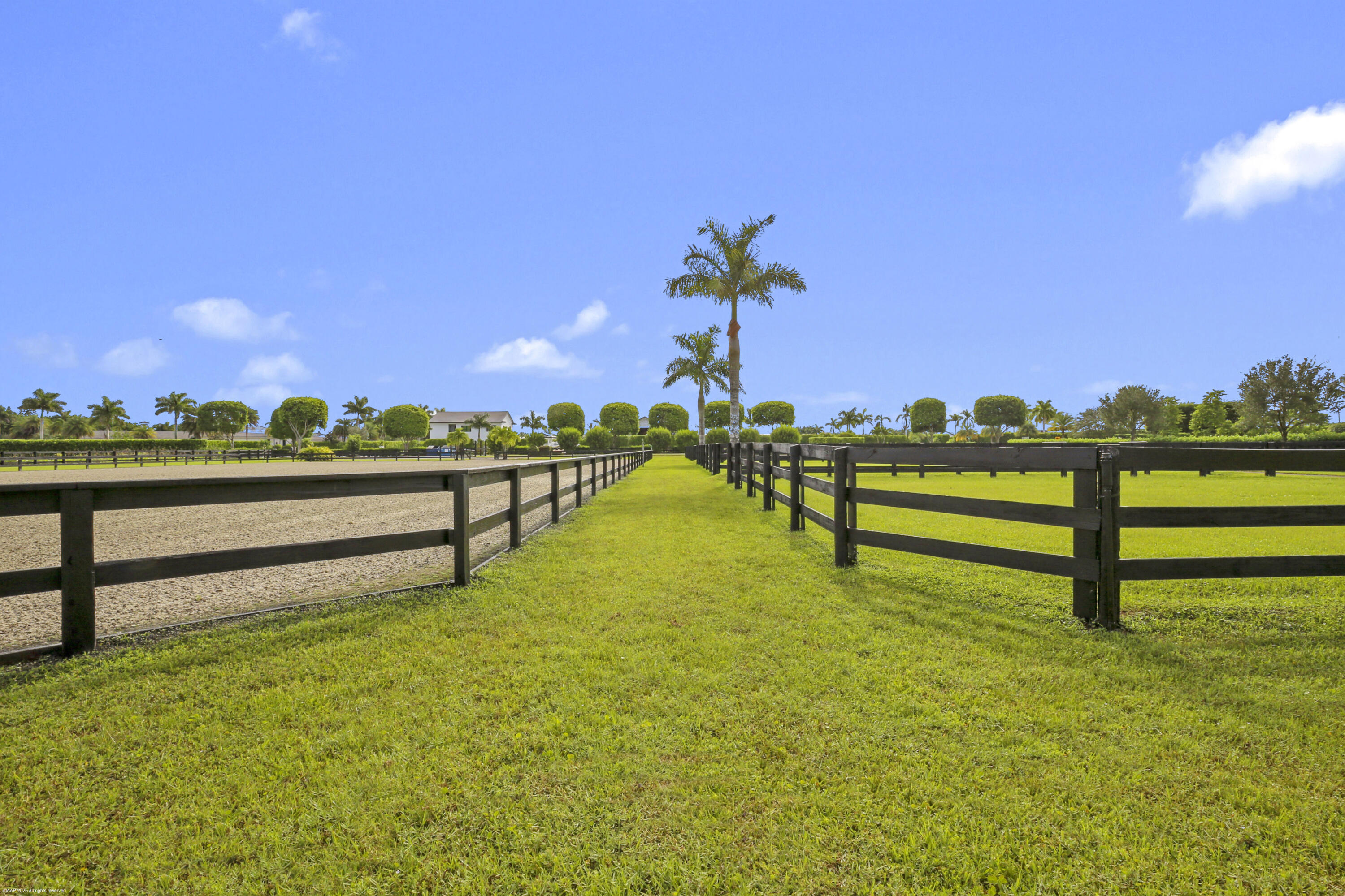 3899 Shutterfly Way Property Photo 5