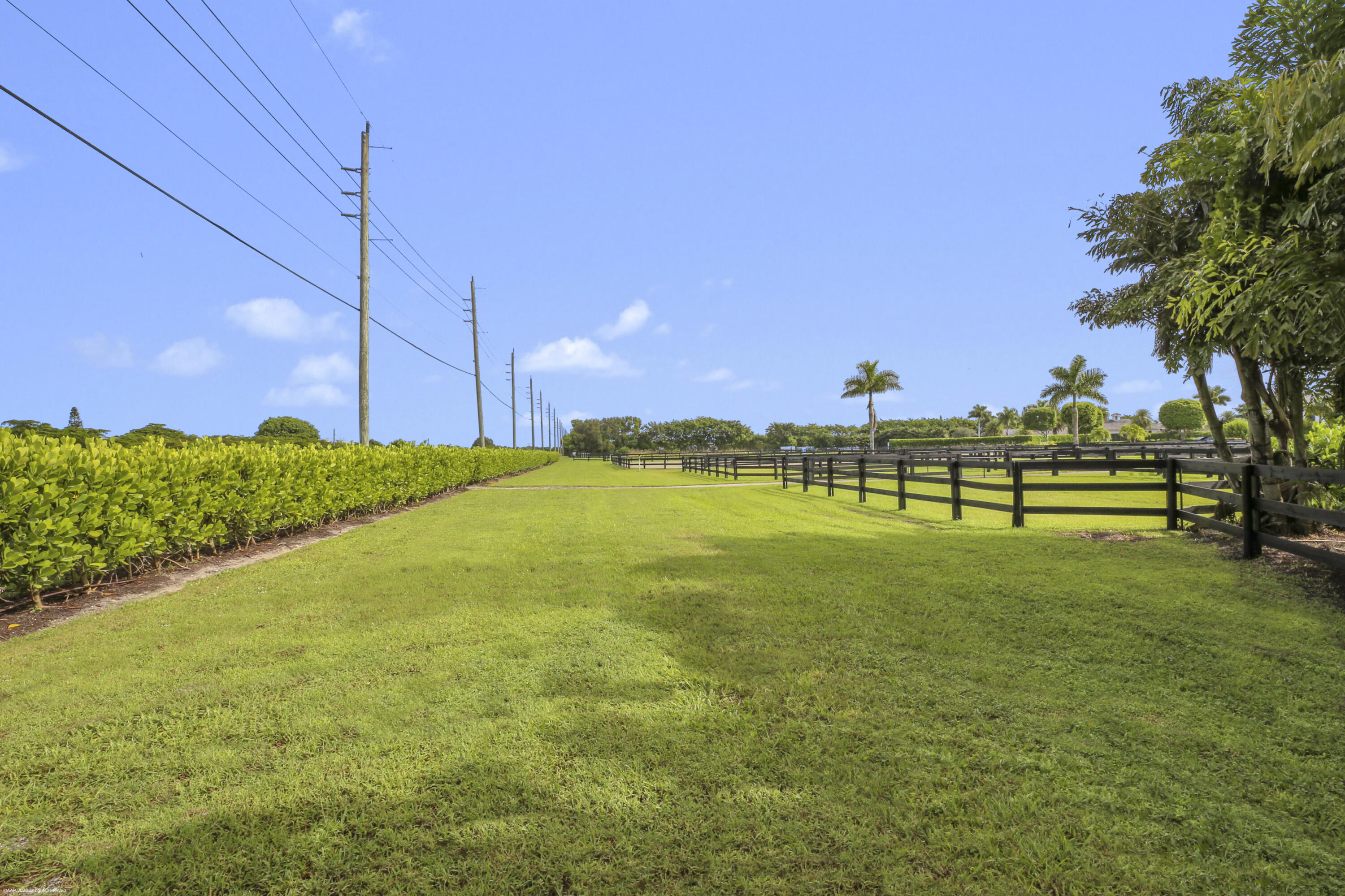 3899 Shutterfly Way Property Photo 15