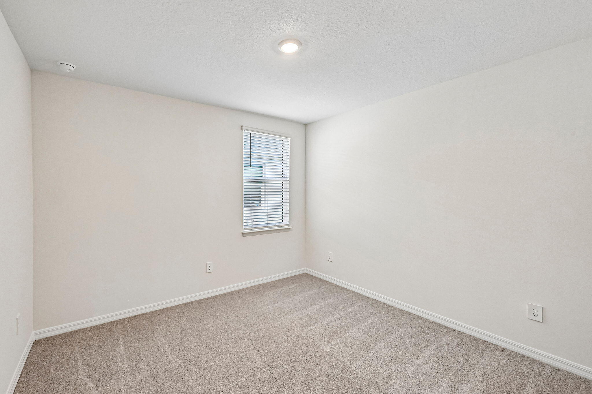 5590 Hampton Park Circle Property Photo 20