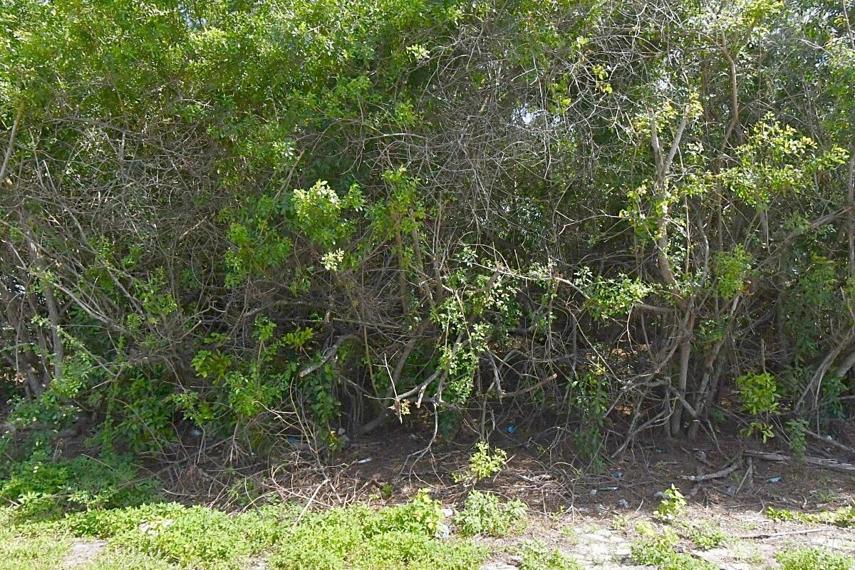 1120 Sw Jericho Avenue Property Photo 2
