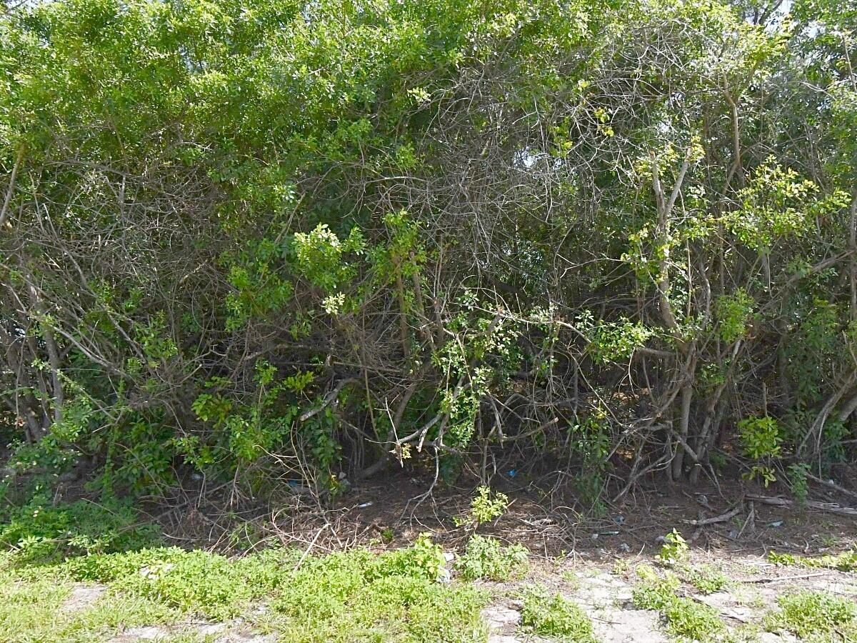 1120 Sw Jericho Avenue Property Photo 3