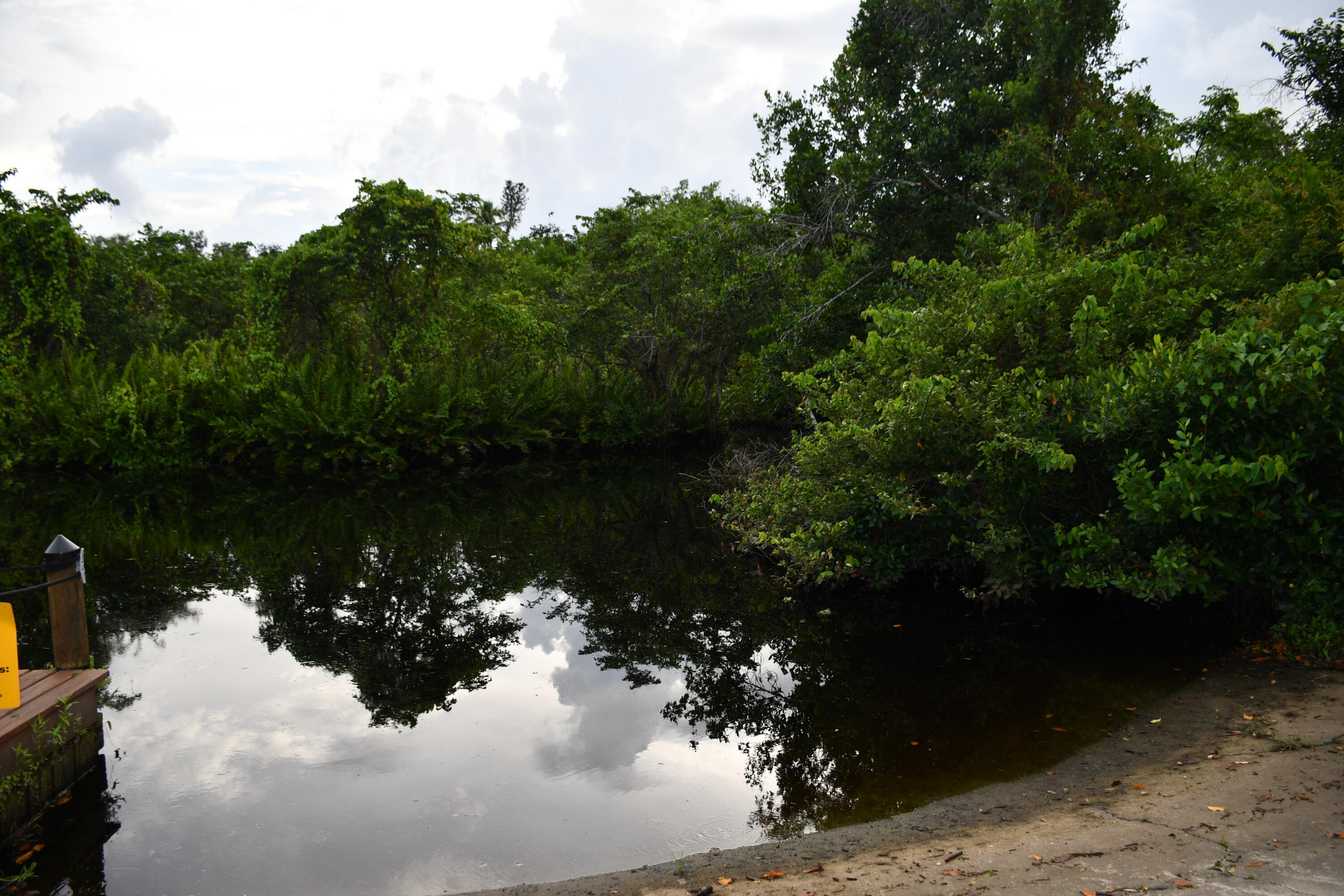 1591 Sunkist Way Property Photo 14