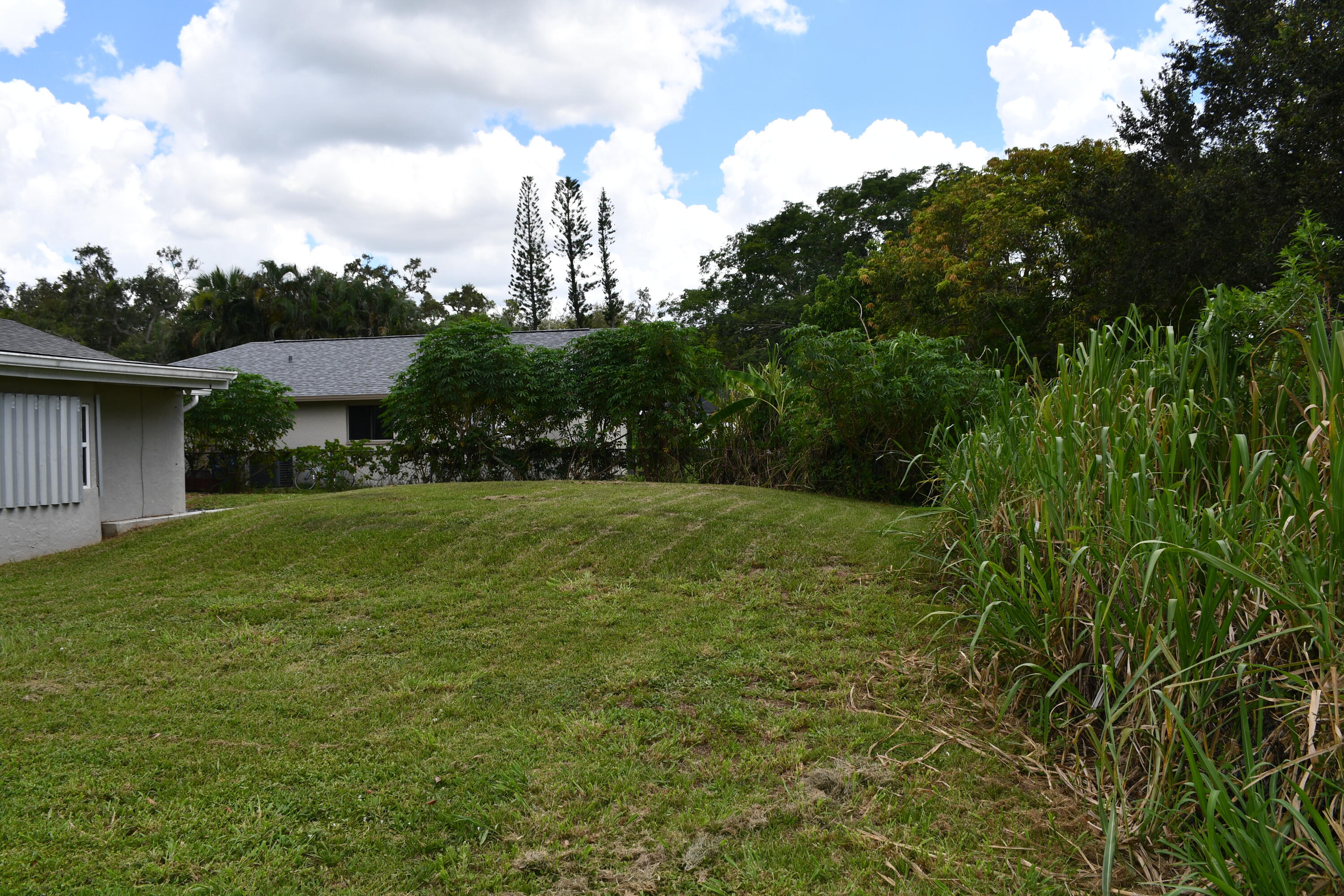 1591 Sunkist Way Property Photo 19