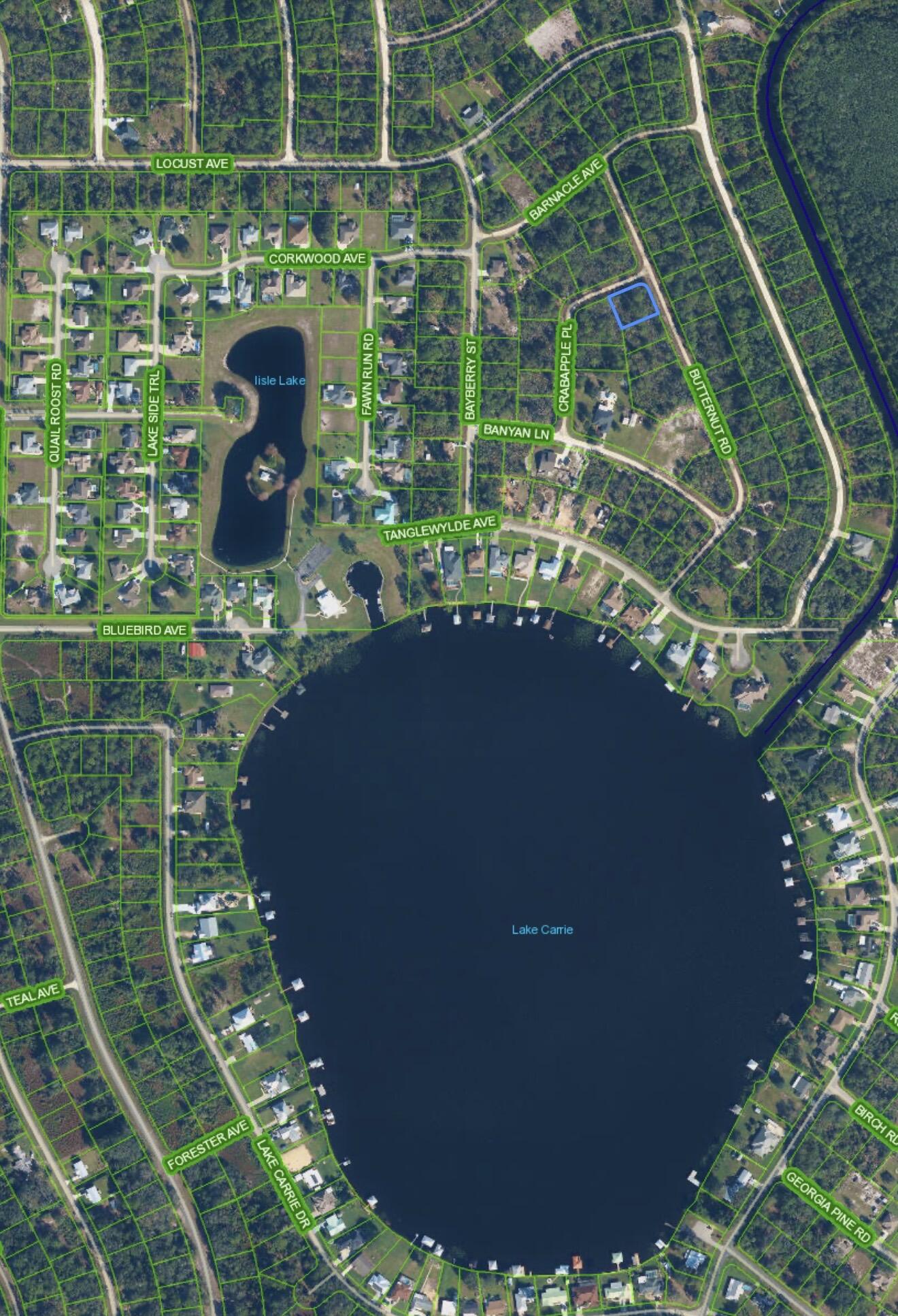 1123 Crabapple Place Property Photo 4