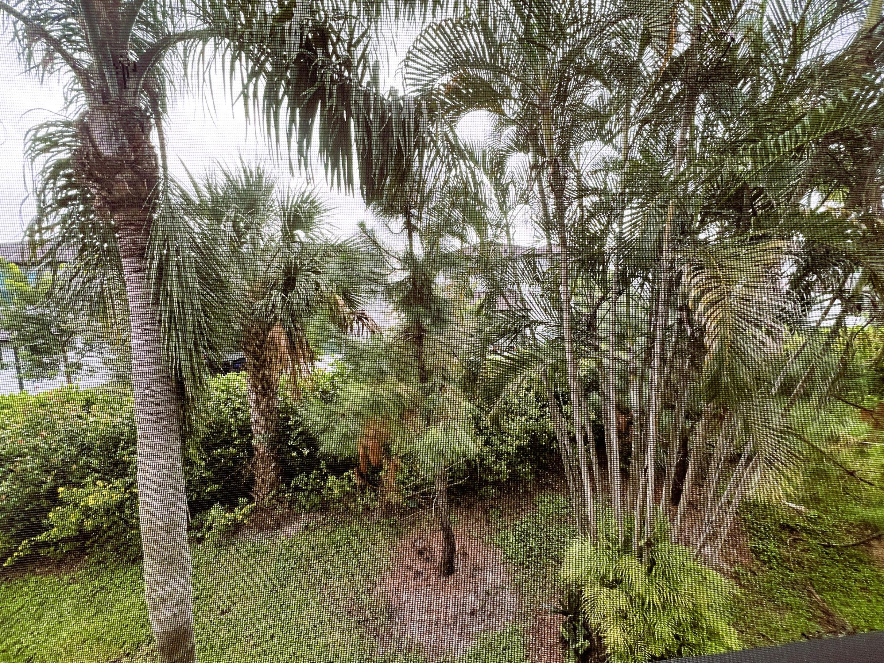 7245 Golf Colony Court 203 Property Photo 4