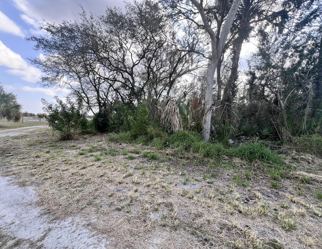 4108 Sebring Lakes Boulevard Property Photo 2