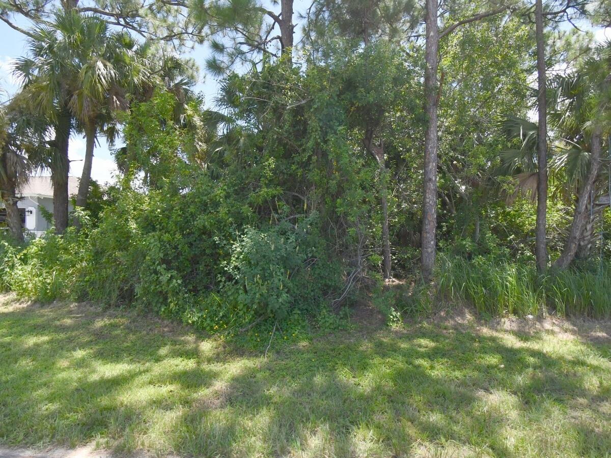 2449 Altara Street Sw Property Photo 1