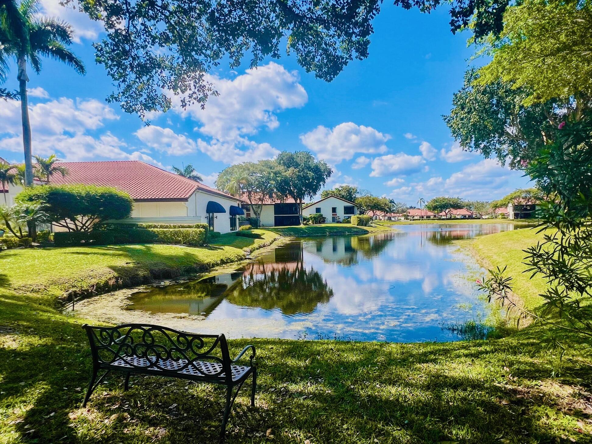 10938 Roebelini Palm Court A Property Photo 62