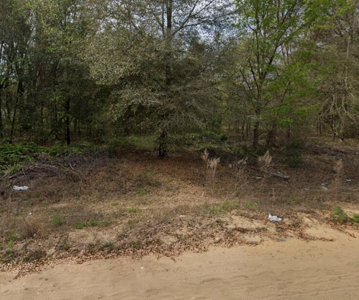 01 N Helmers Avenue Property Photo 2