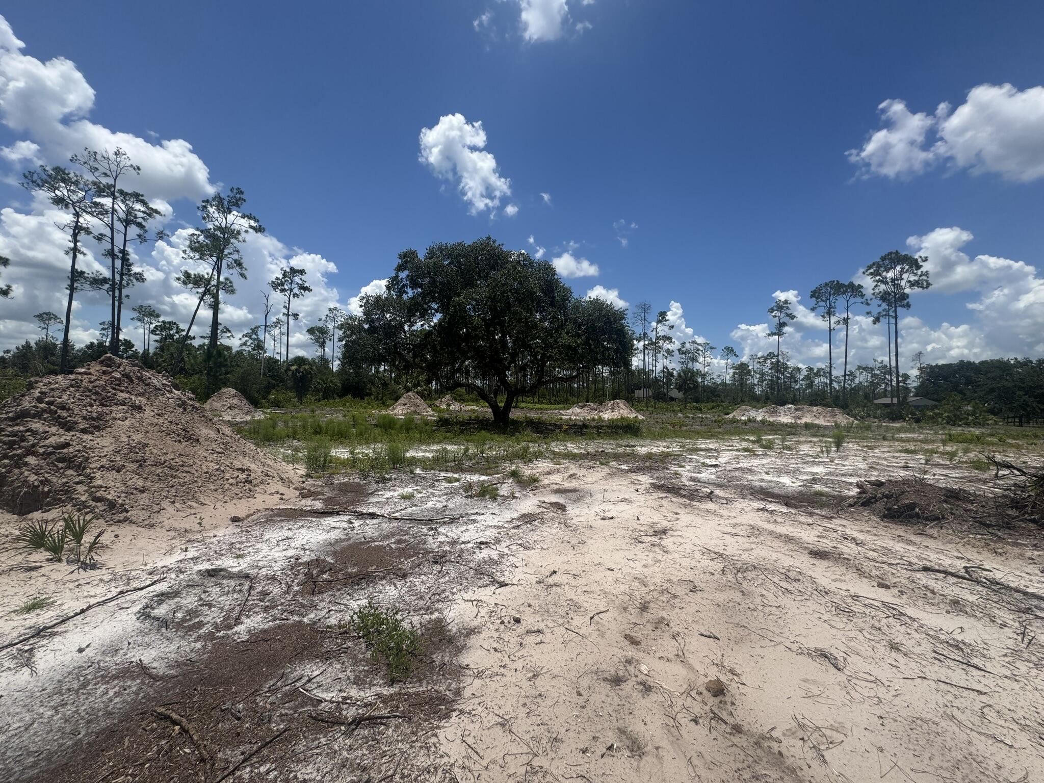 32801 Us Highway 441 Property Photo 5