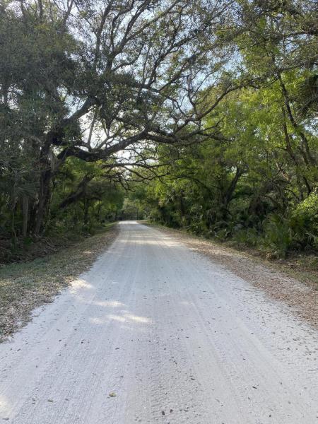 32801 Us Highway 441 Property Photo 39