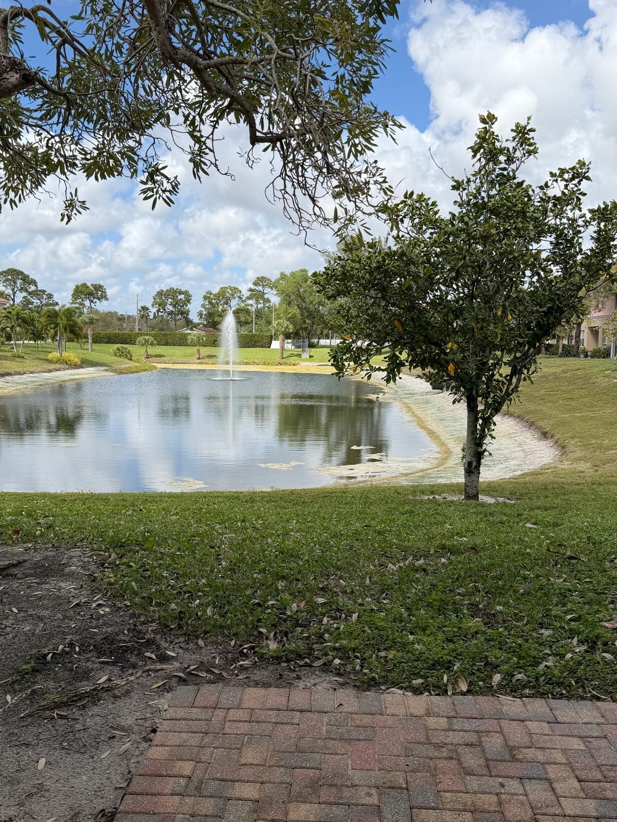 1510 Seminole Palms Drive Property Photo 22