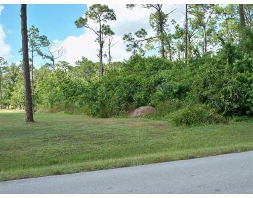 Xx Sycamore Drive W Property Photo 3