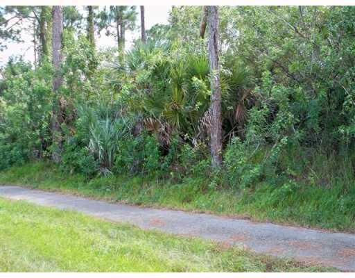 Xx Sycamore Drive W Property Photo 4