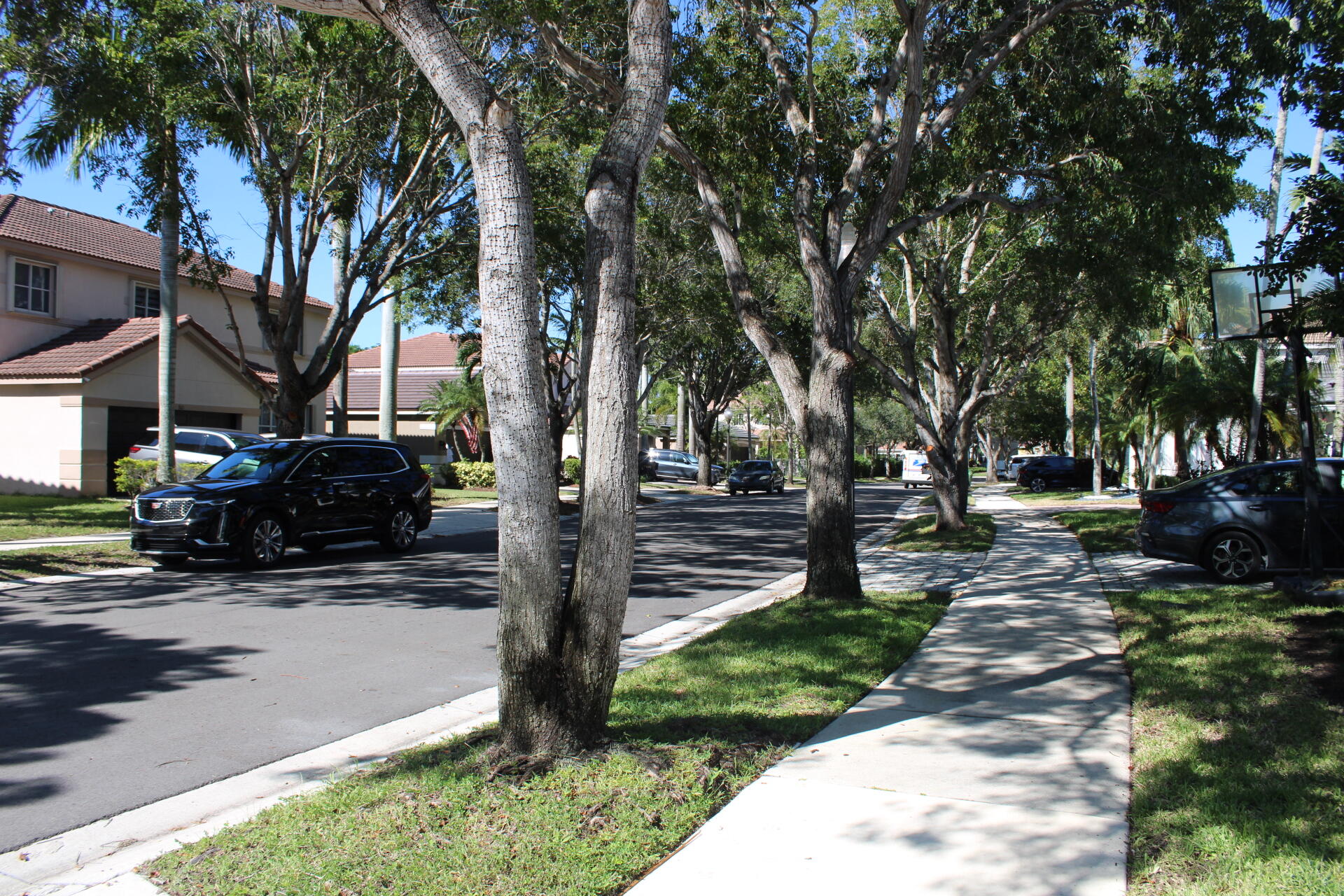 767 Nandina Drive Property Photo 1