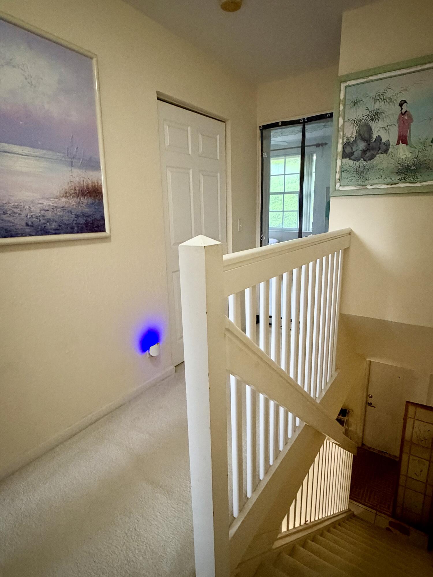 804 Summit Lake Drive Property Photo 22
