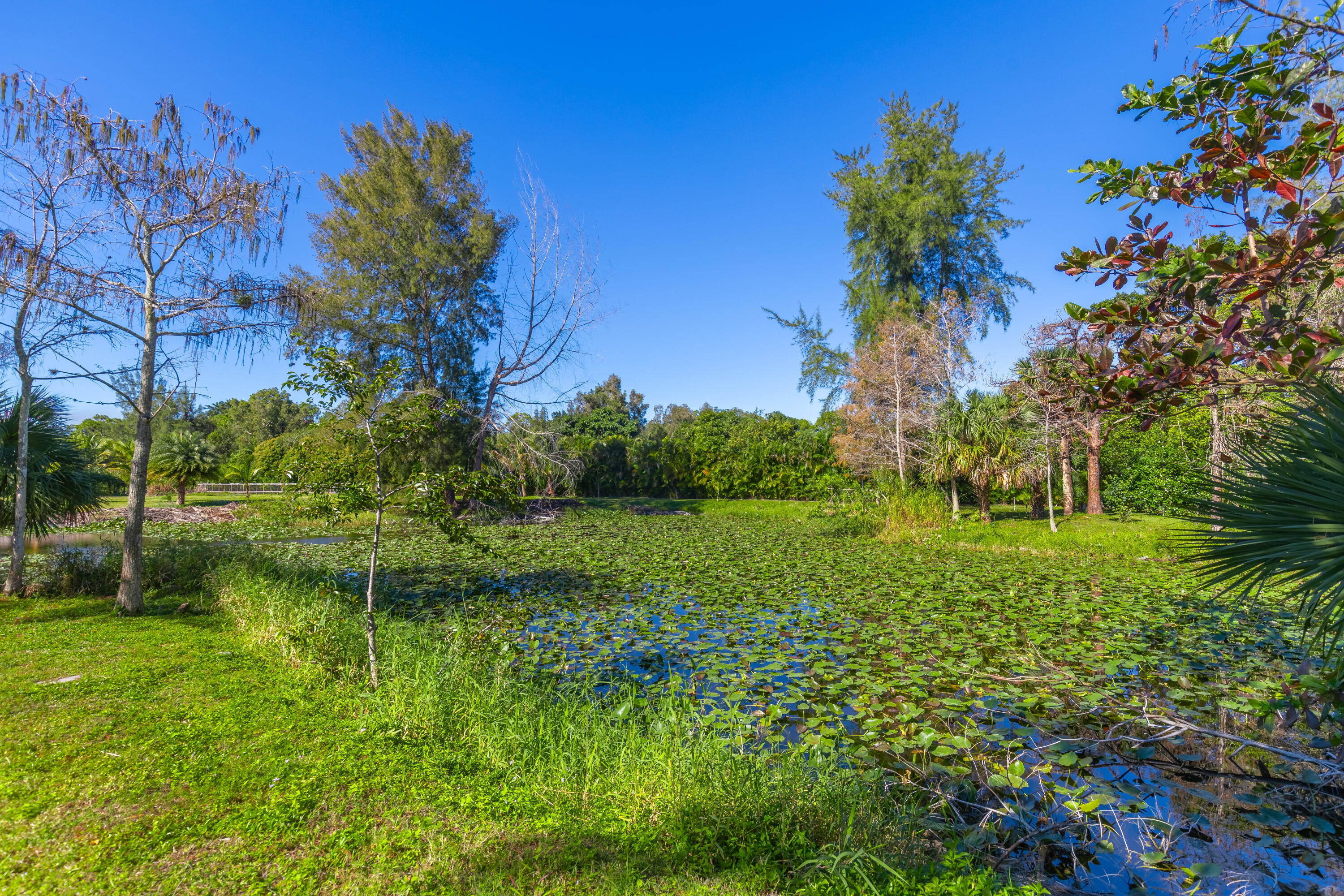 2943 B Road Property Photo 77