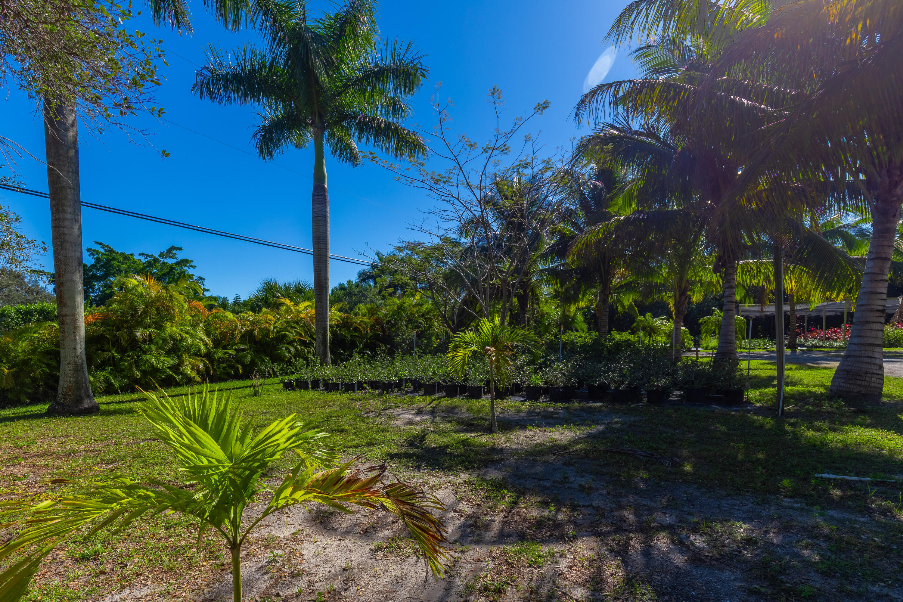 2943 B Road Property Photo 82
