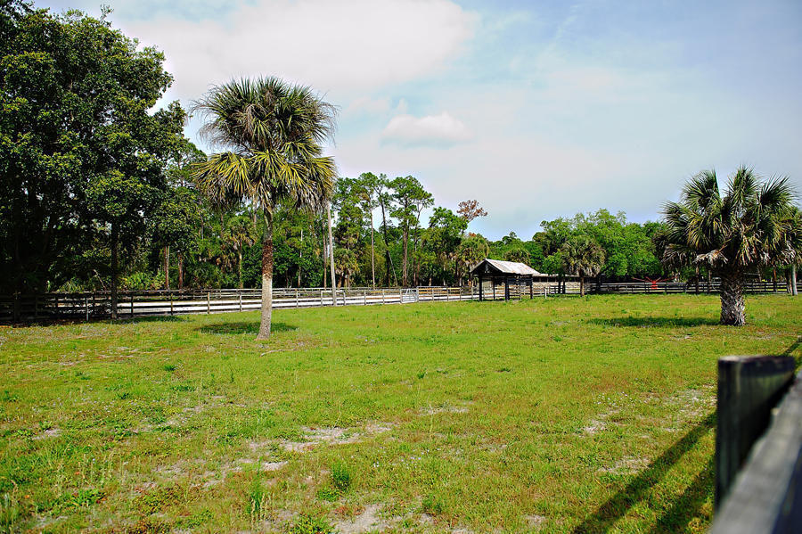 2833 F Road Property Photo 15