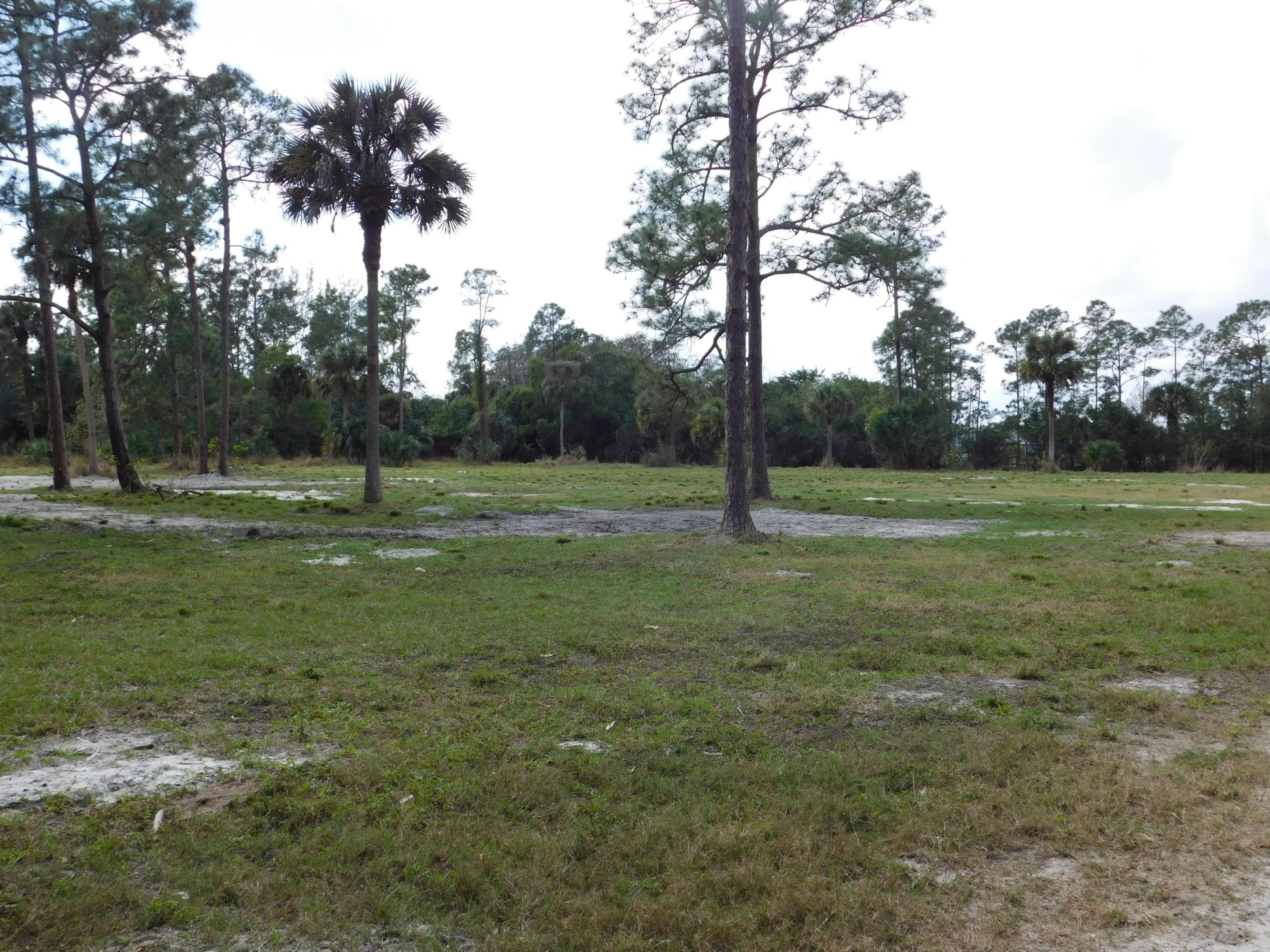 2833 F Road Property Photo 19