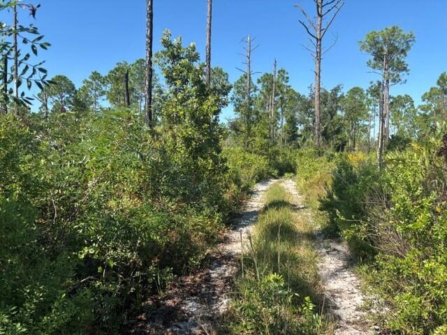 0 Hwy 630e Property Photo 3
