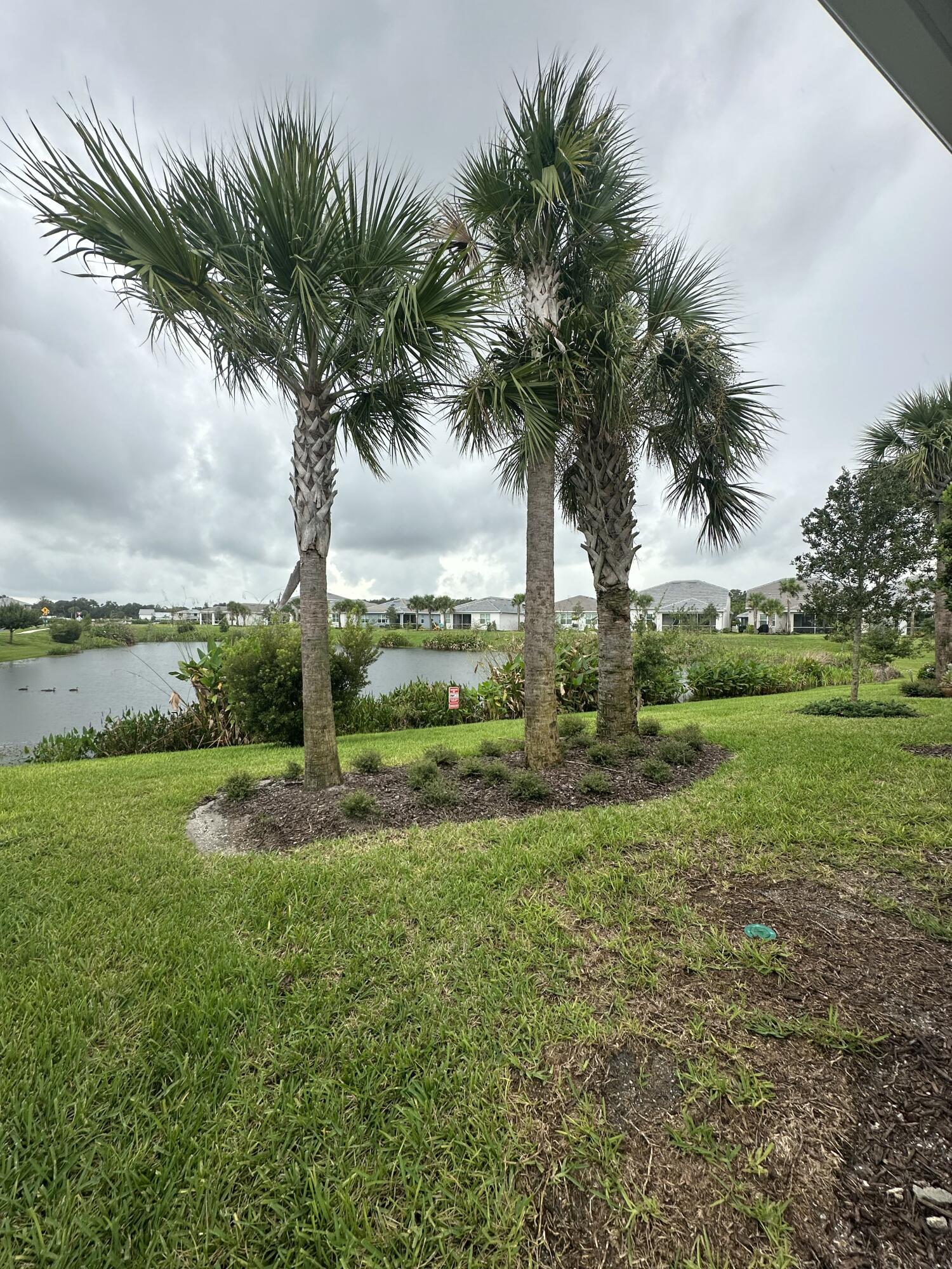 4501 Jolly Roger Manor Property Photo 37