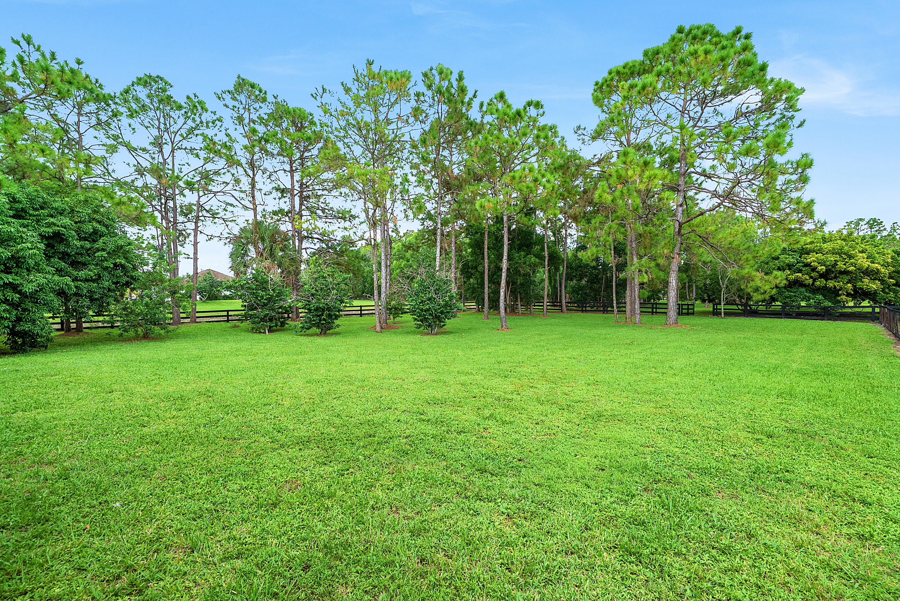 11356 Ira Lane Property Photo 26