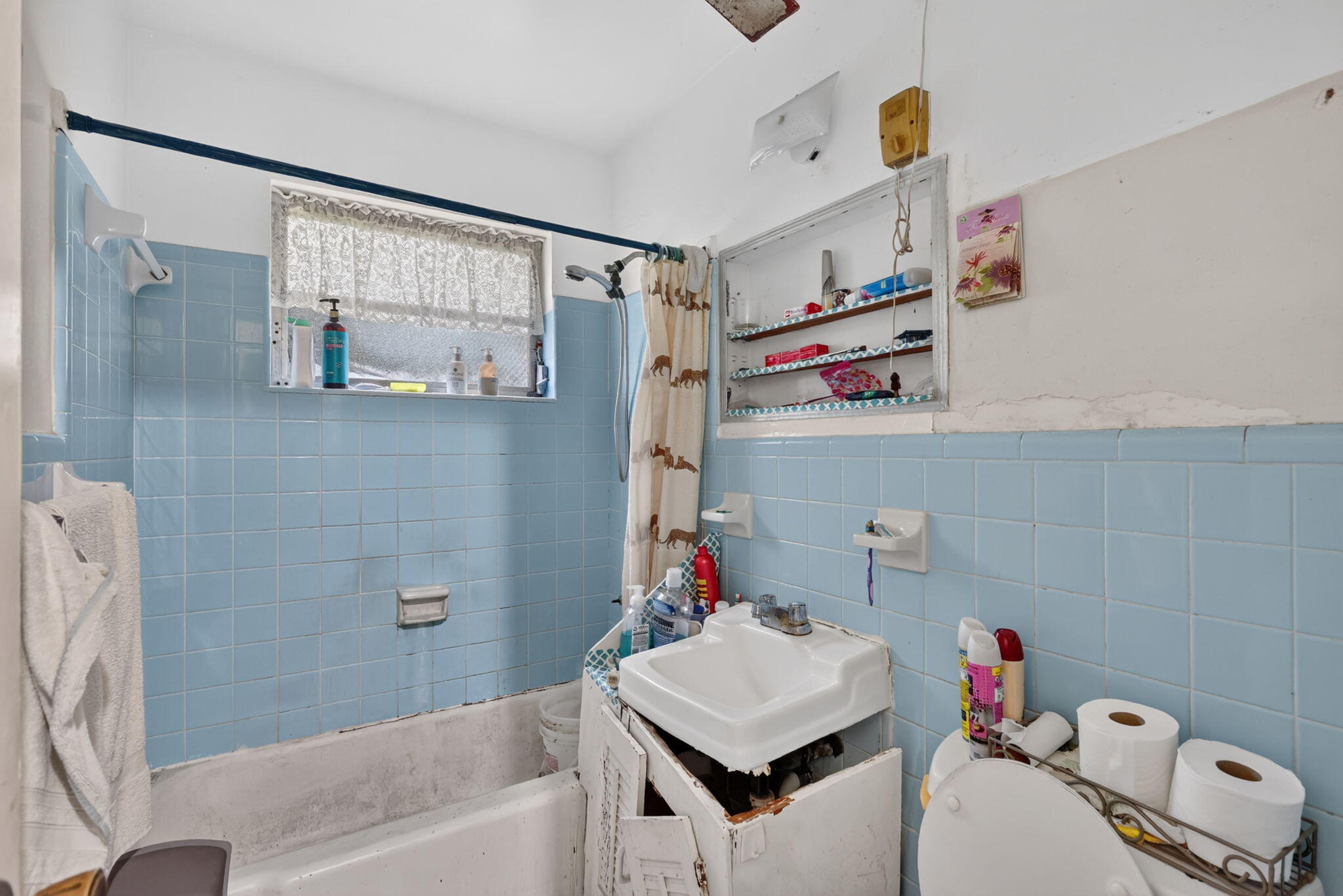 913 Jamaican Drive Property Photo 24