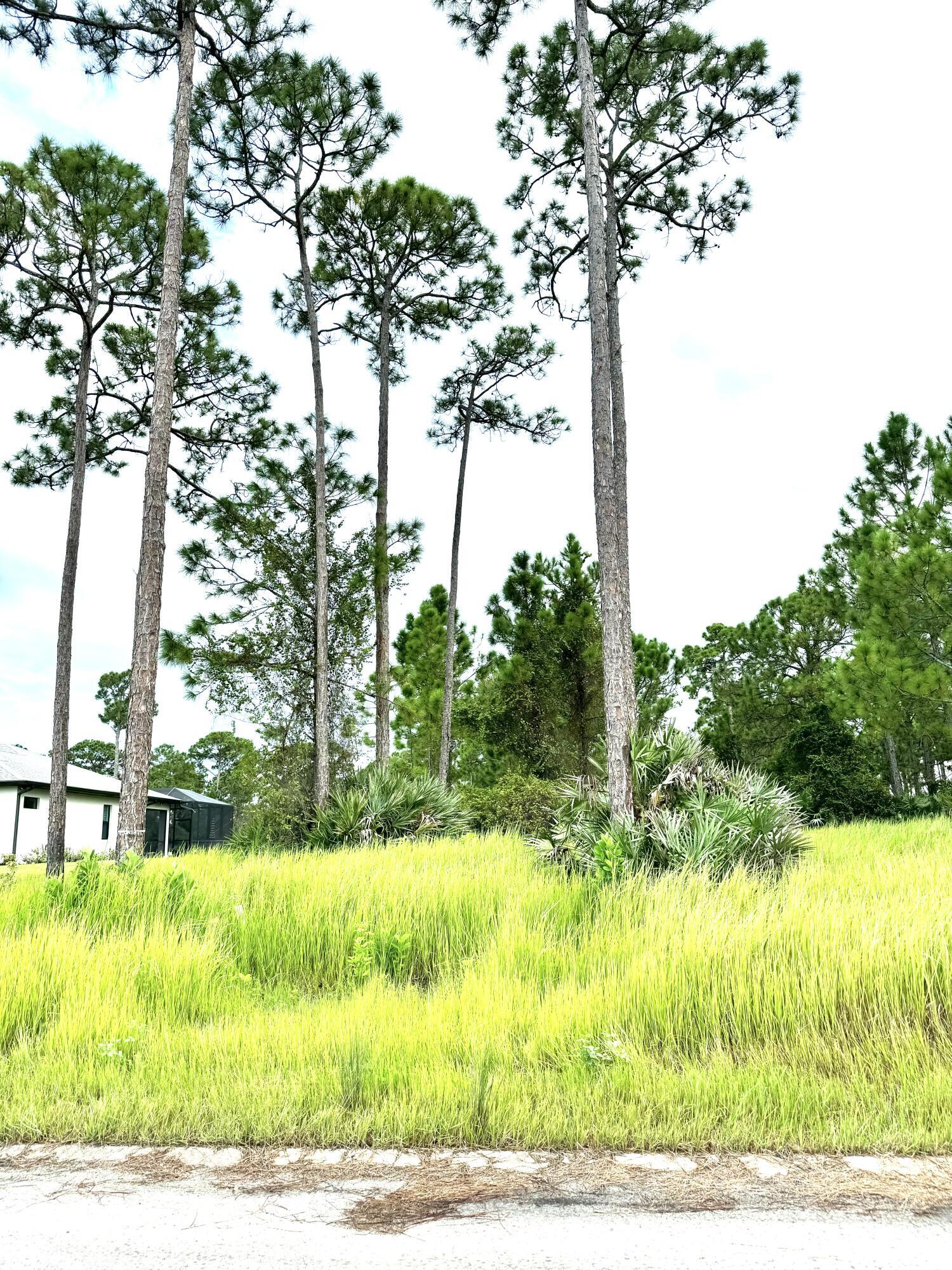 10615 Sugar Pine Drive Property Photo 9