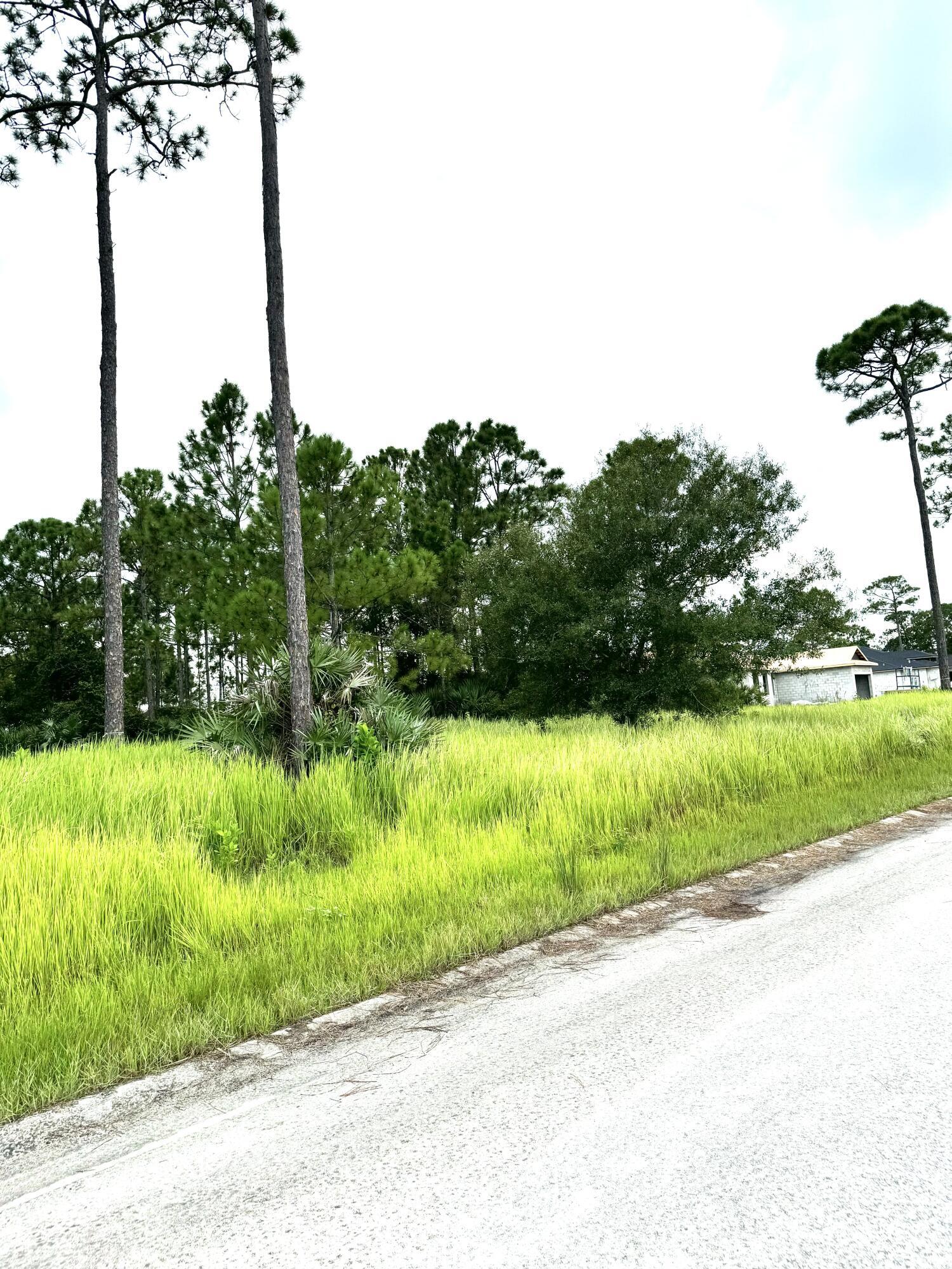 10615 Sugar Pine Drive Property Photo 10