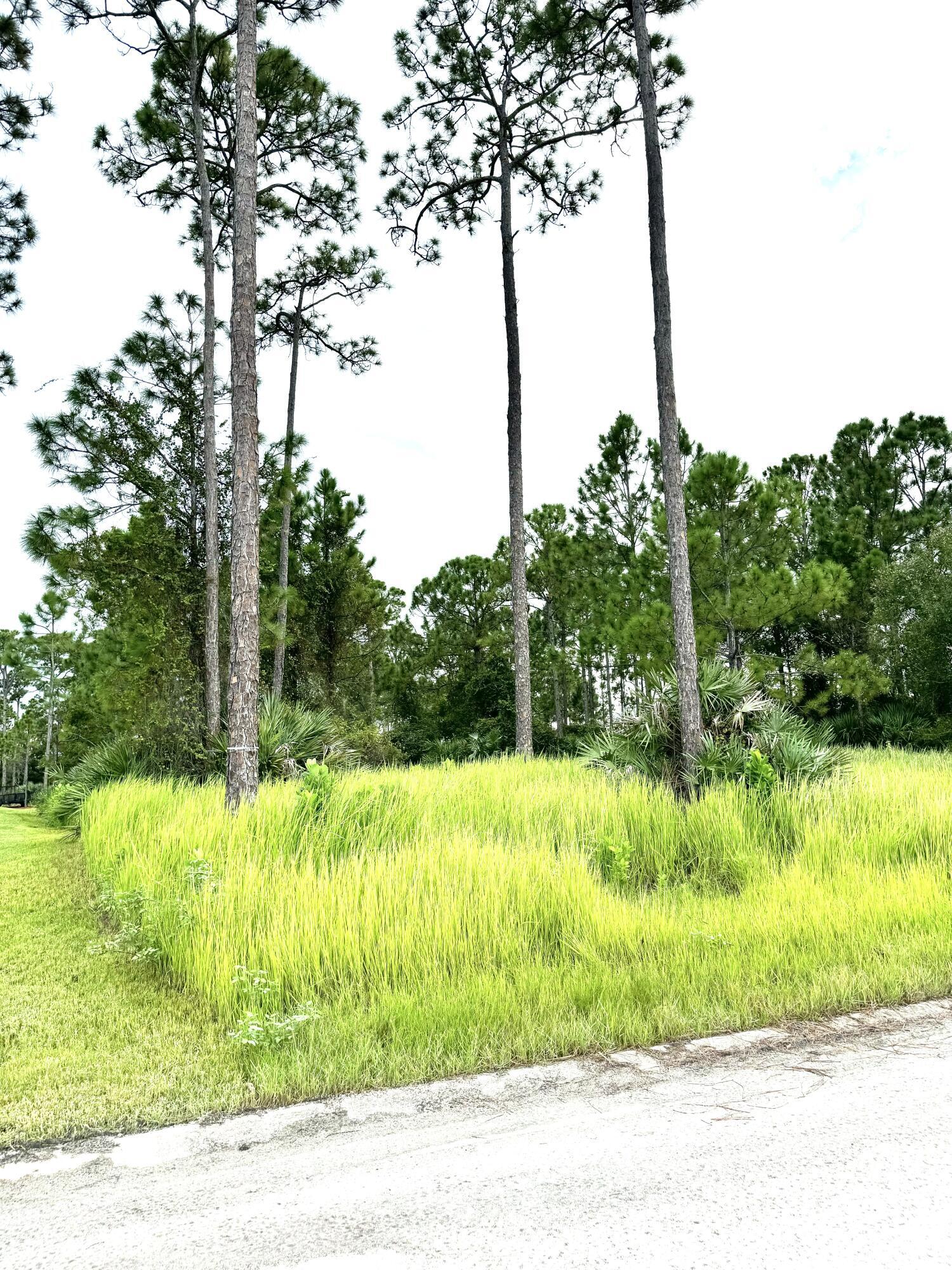 10615 Sugar Pine Drive Property Photo 11