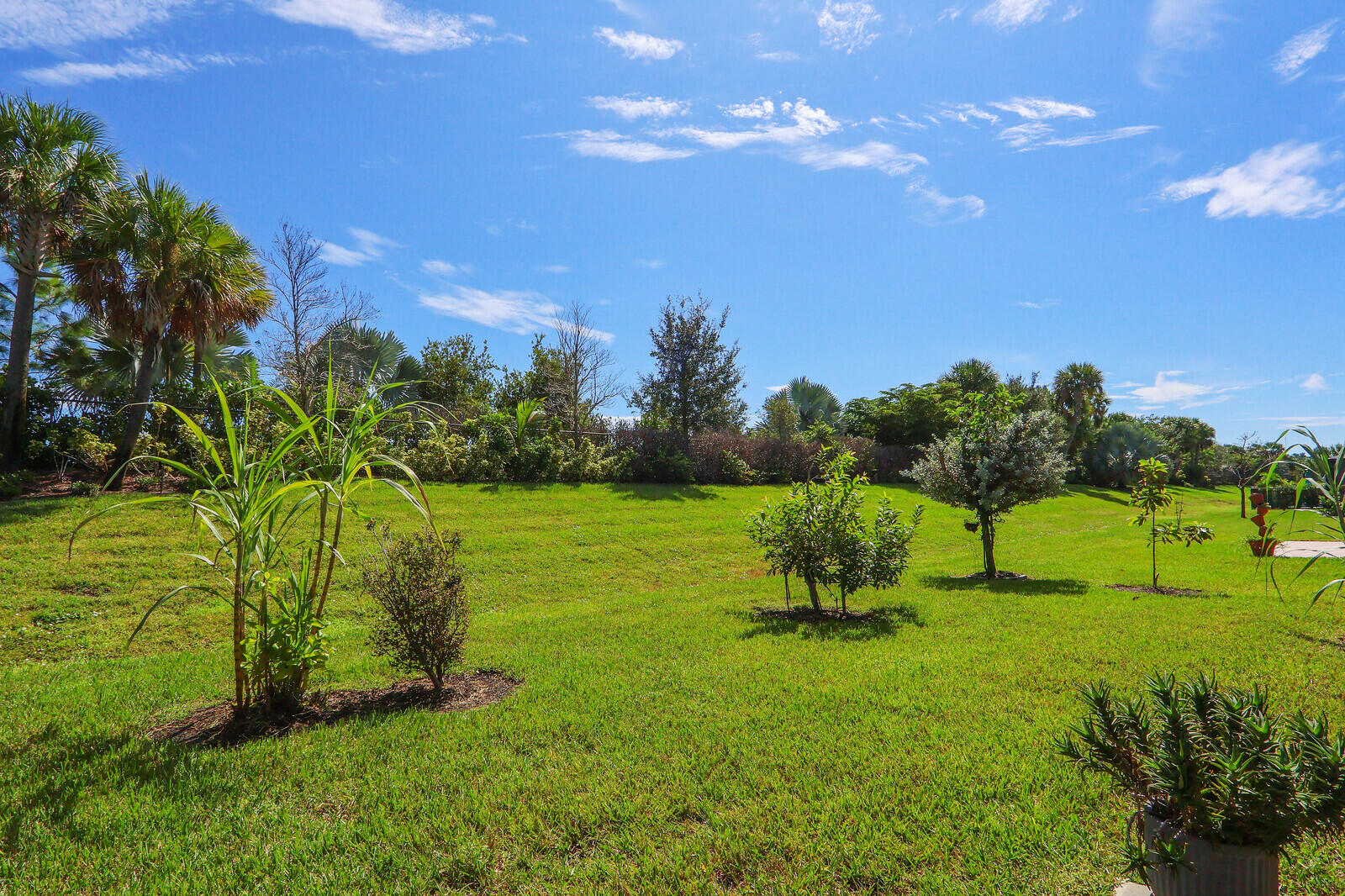 11917 Sw Seahorse Springs Terrace Property Photo 36