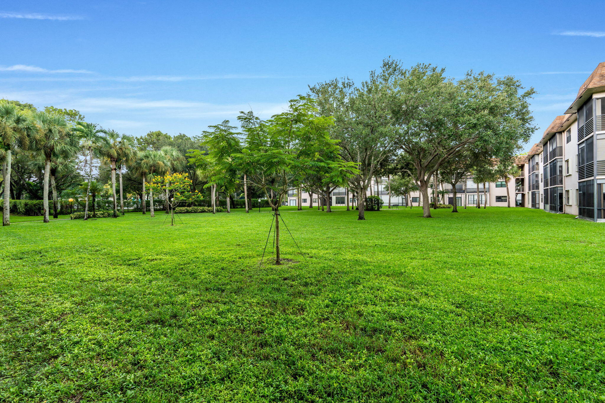 6085 N Sabal Palm Boulevard 107 Property Photo 32