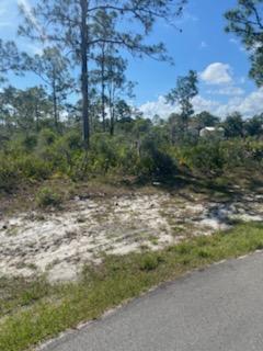 4538 Mignon Drive Property Photo 1