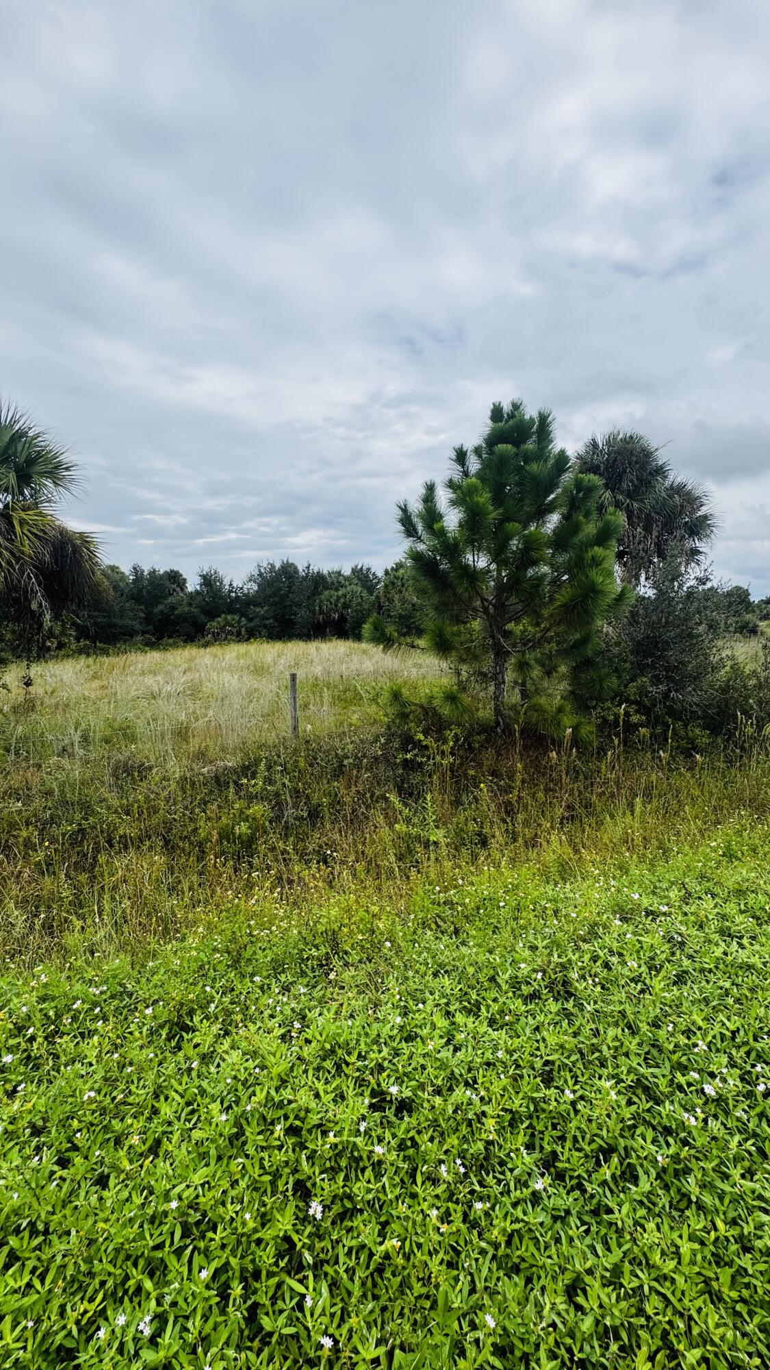 17011 Nw 304th Street Property Photo 3