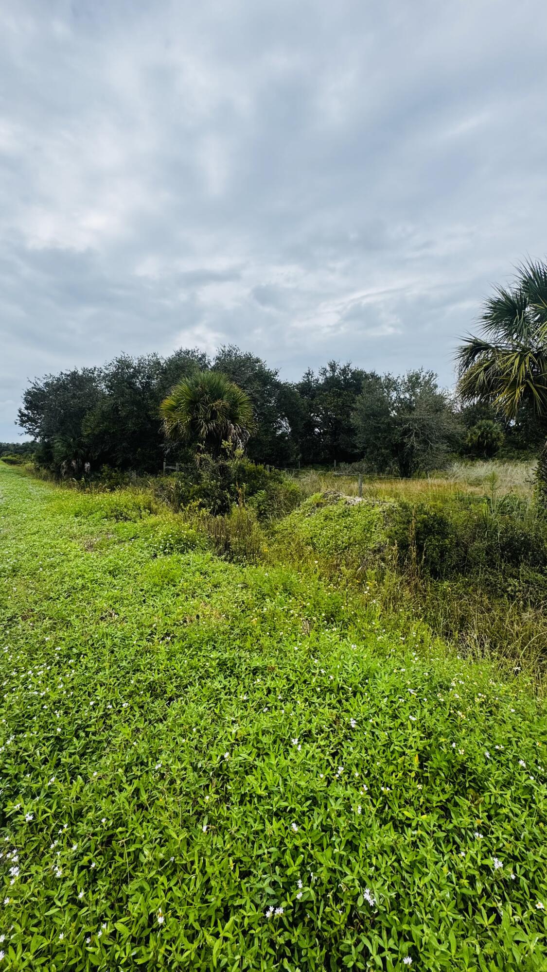 17011 Nw 304th Street Property Photo 4