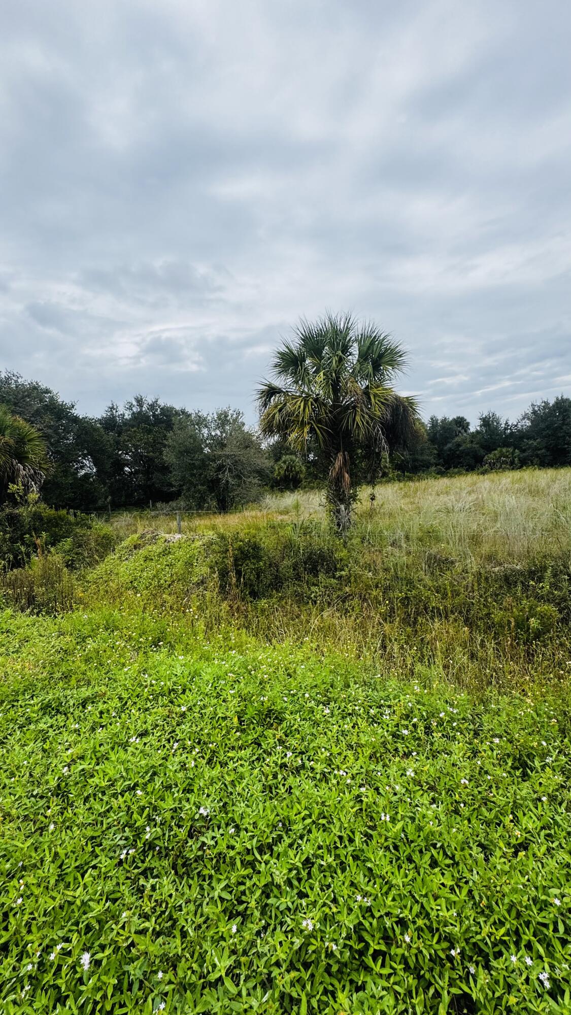 17011 Nw 304th Street Property Photo 5