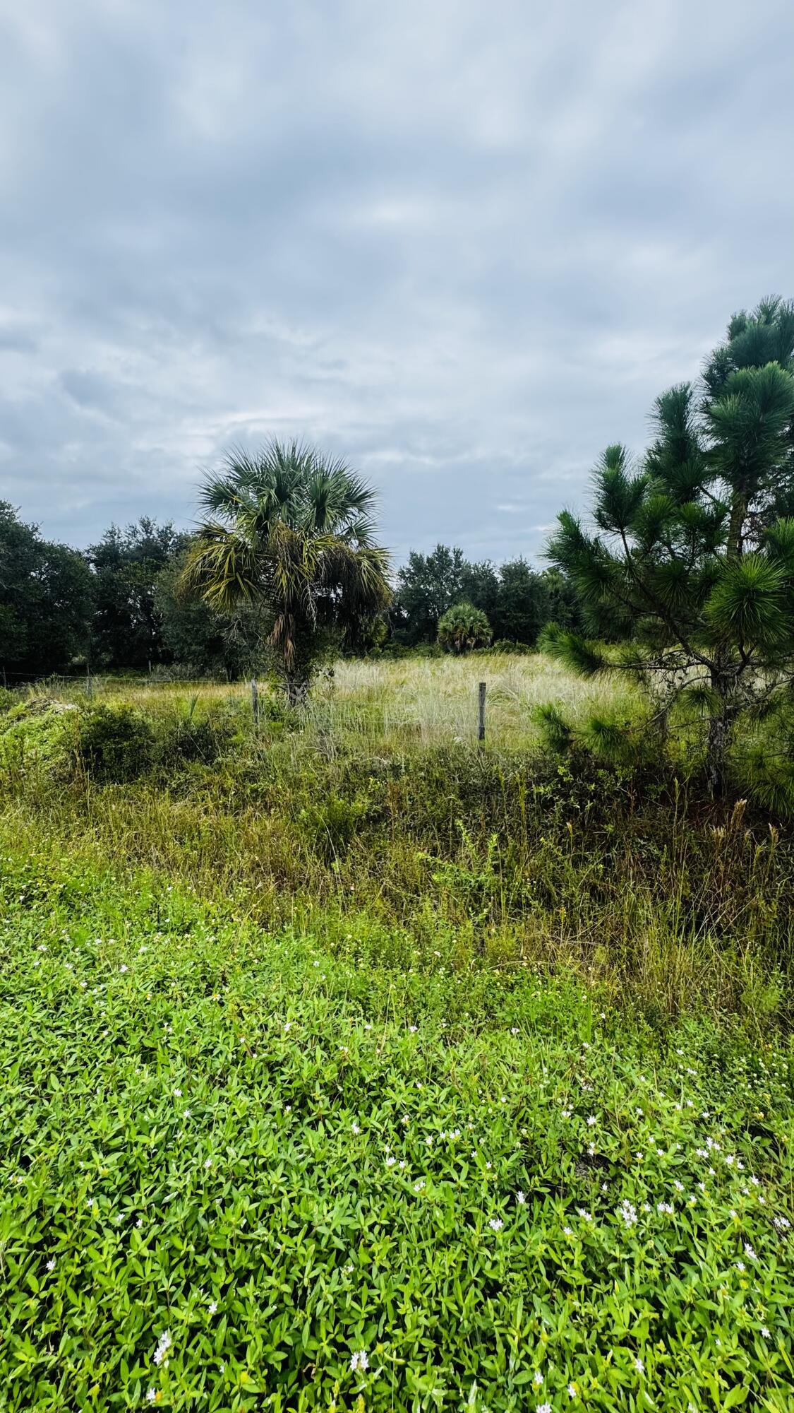 17011 Nw 304th Street Property Photo 6