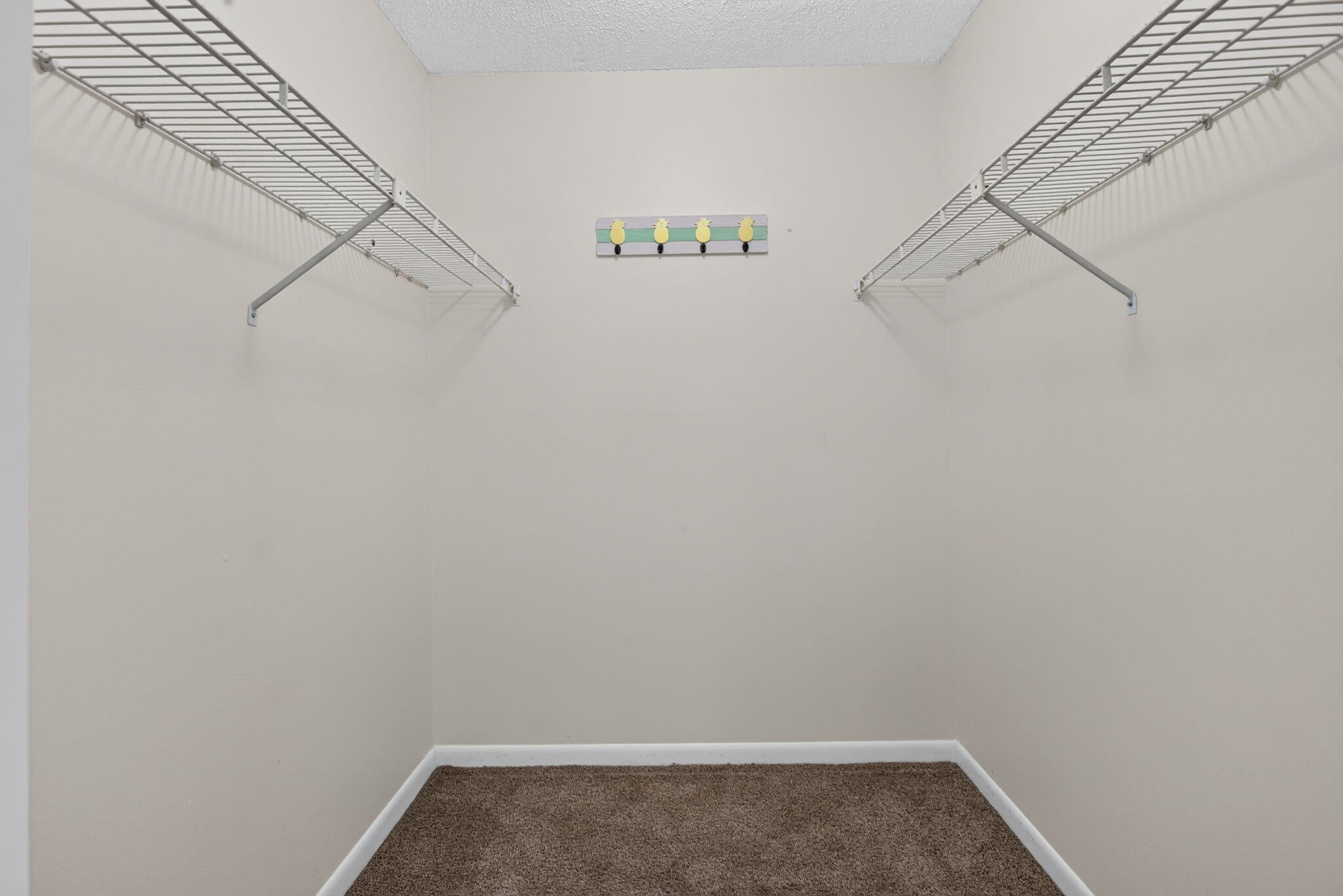 2073 Coral Ridge Drive N205 Property Photo 28