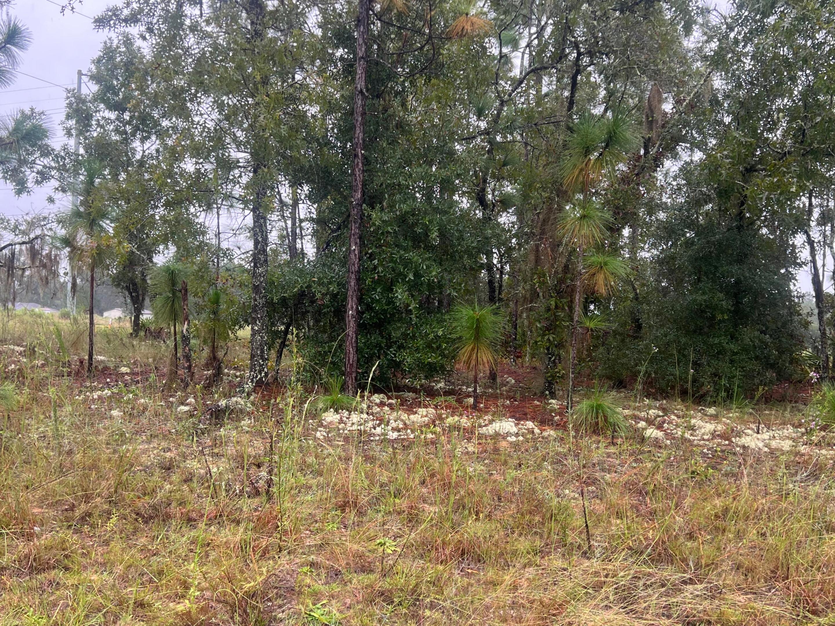 Tbd Stephens Street Property Photo 2