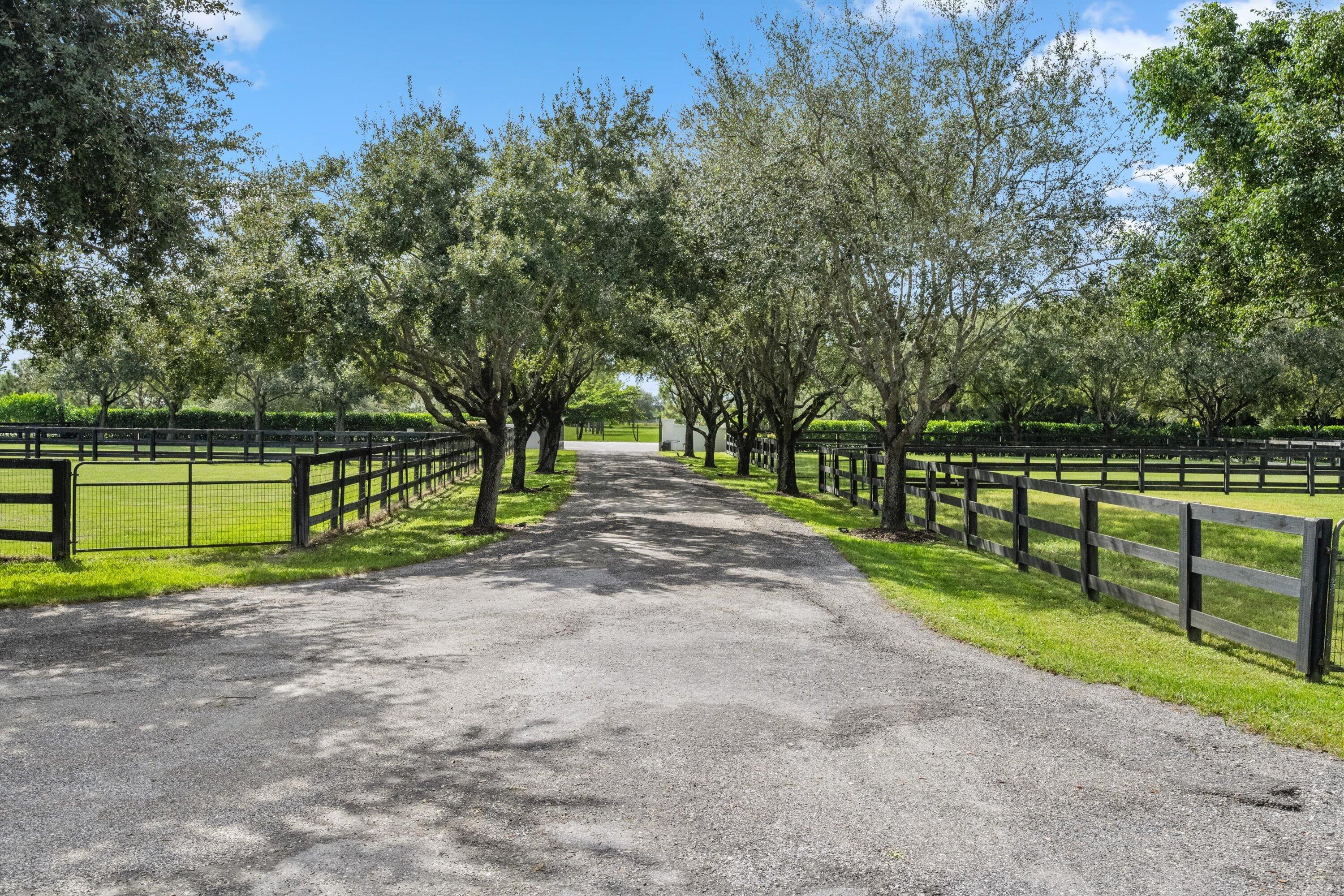 16381 Hollow Tree Lane Property Photo 2