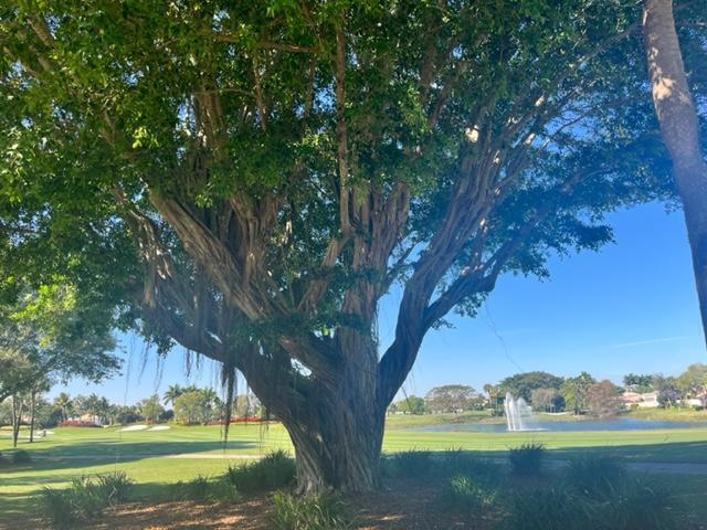 15790 Loch Maree Lane 3602 Property Photo 45
