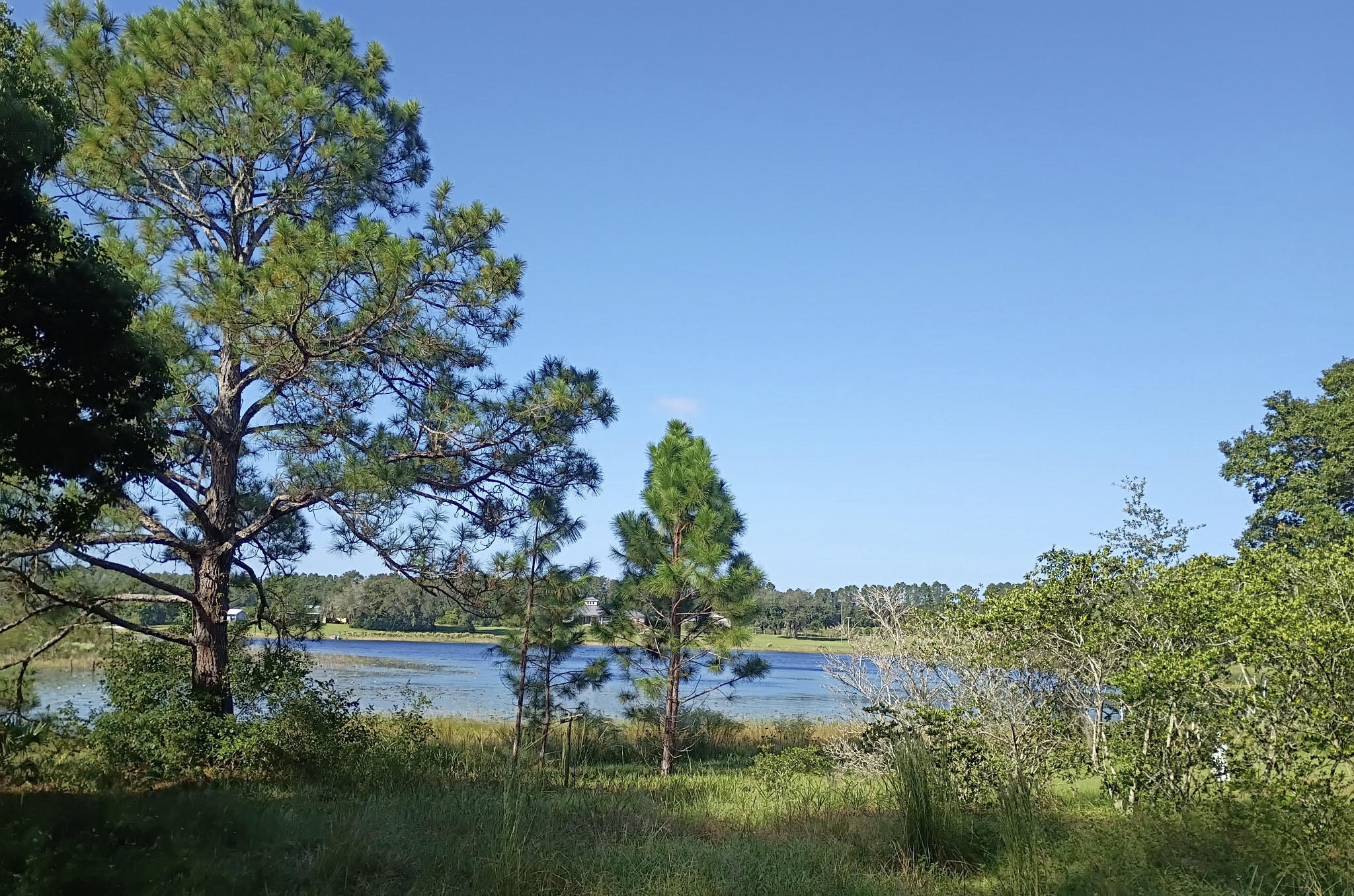 17230 Se Highway 42 Property Photo 1