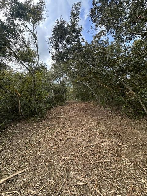 0 Tbd Property Photo 1
