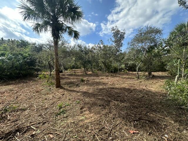 0 Tbd Property Photo 2
