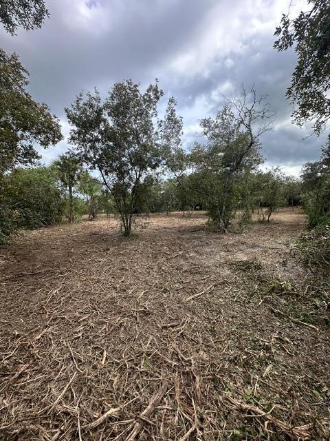 0 Tbd Property Photo 3
