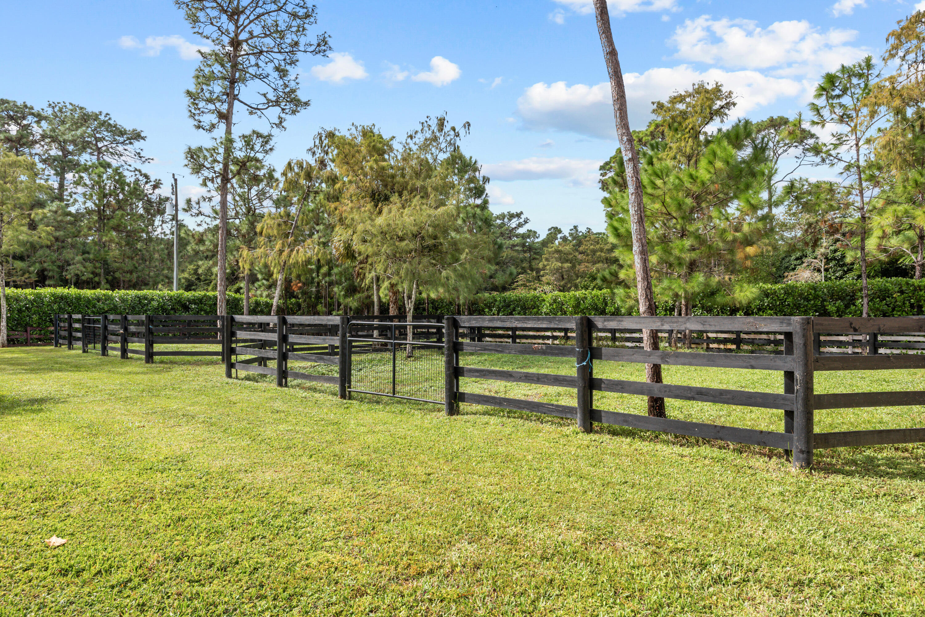 14407 Halter Road Barn Property Photo 14