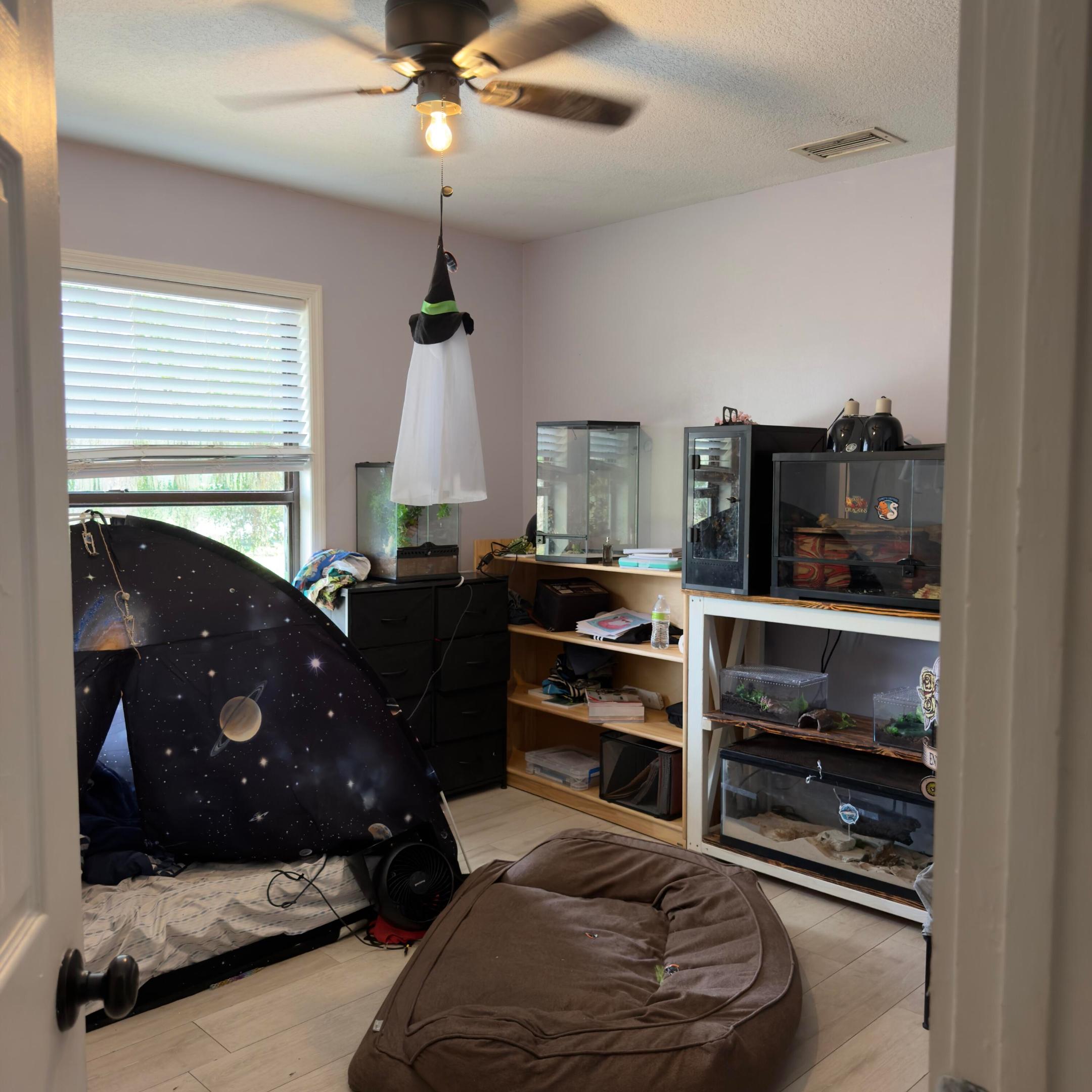 13398 46th Court N Property Photo 11