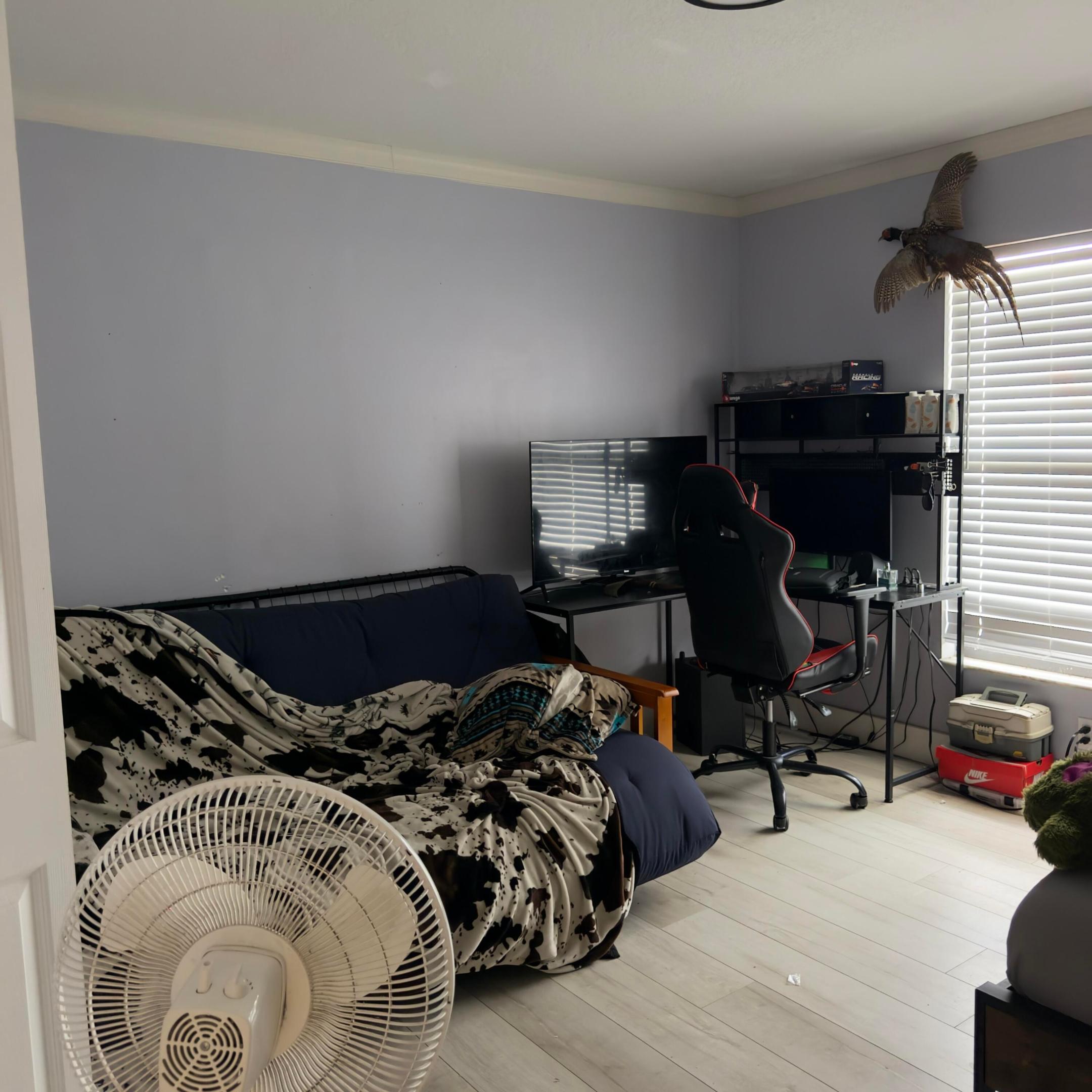 13398 46th Court N Property Photo 12