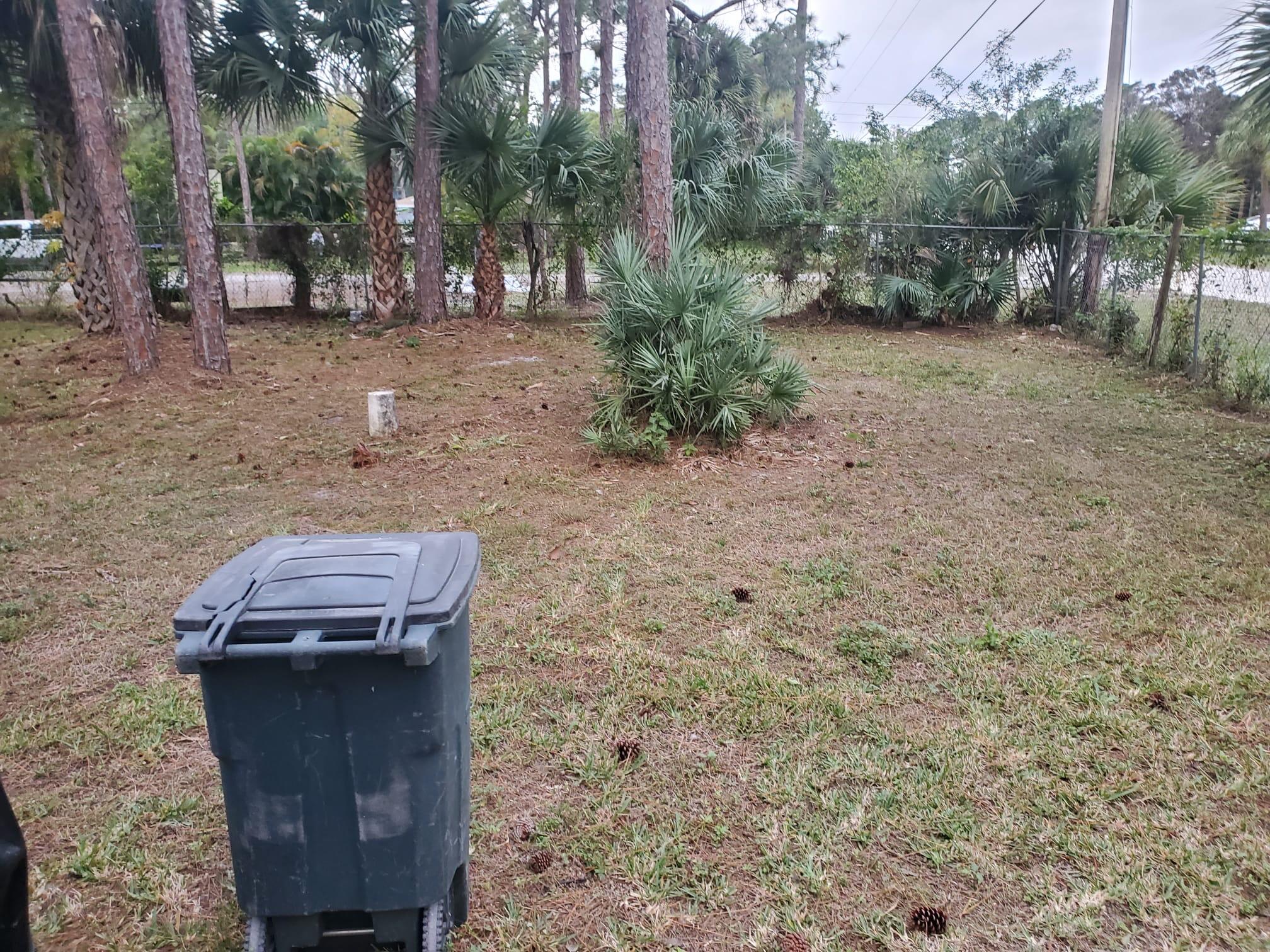 13398 46th Court N Property Photo 37